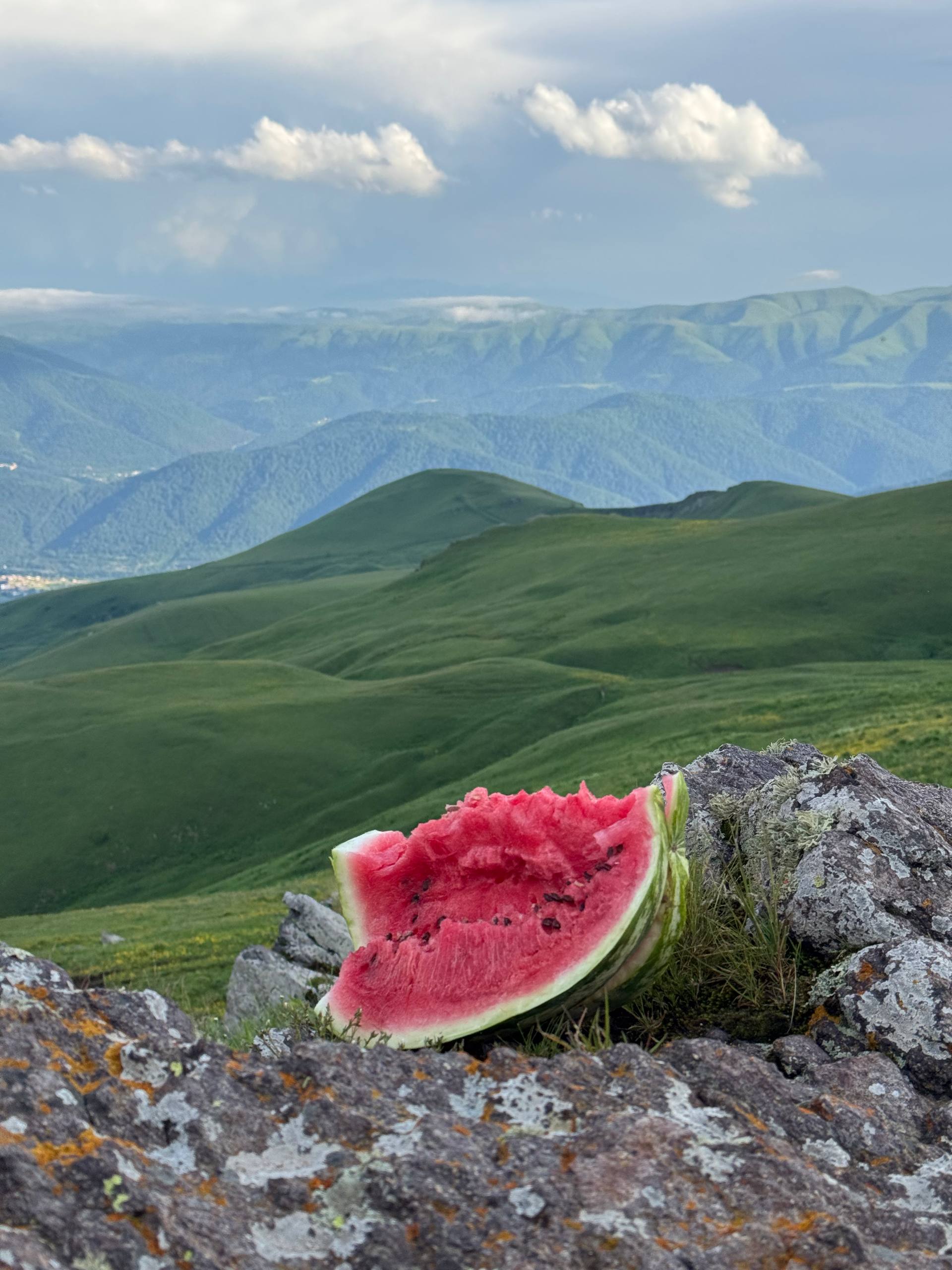 Винный фестиваль, армянское застолье, горы и концерт Лары Фабиан (13/131)