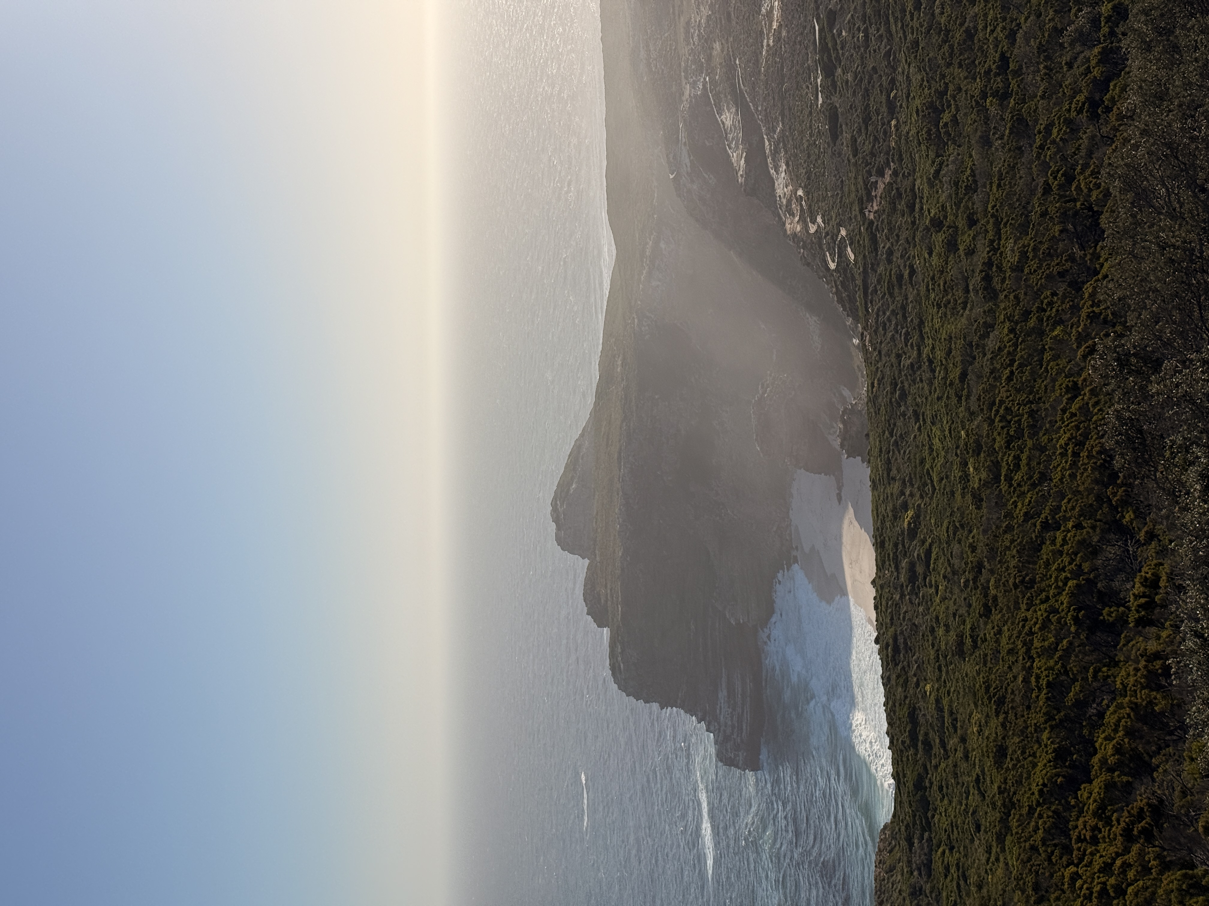 Юар: мыс Доброй Надежды, Столовая гора, пингвины, винодельни, гепарды (29/69)