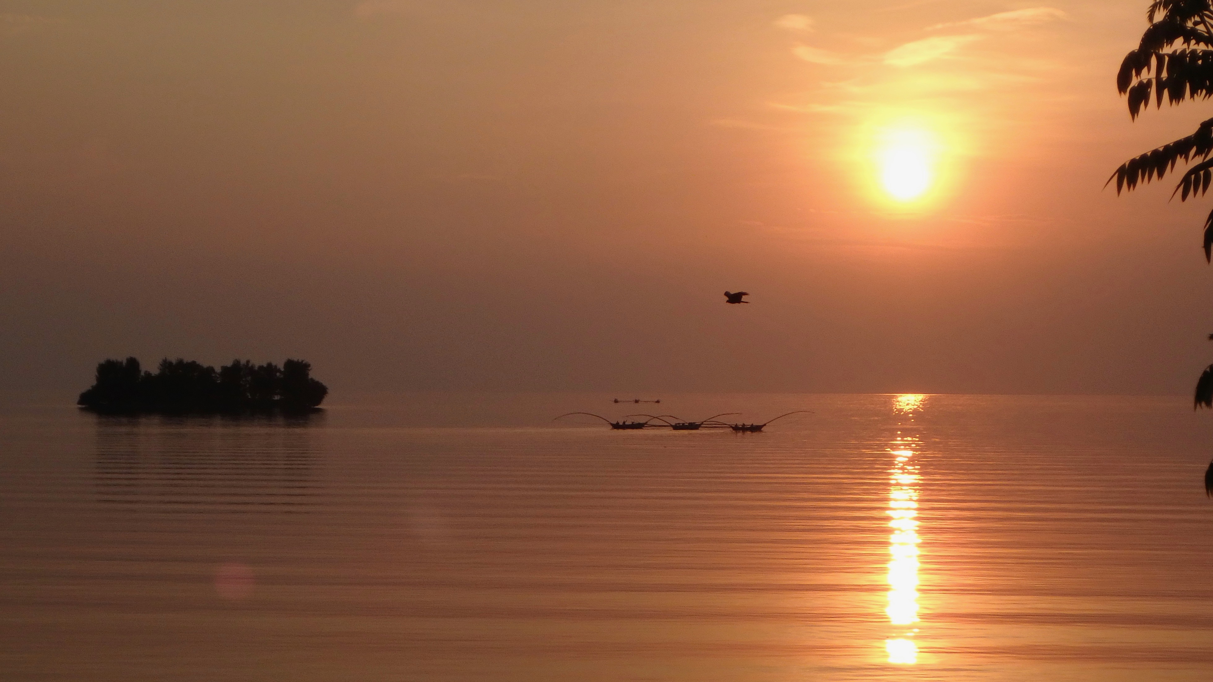 10 Days Kigali, Nyungwe, Lake Kivu And Volcanoes Rwanda Adventure (13/26)