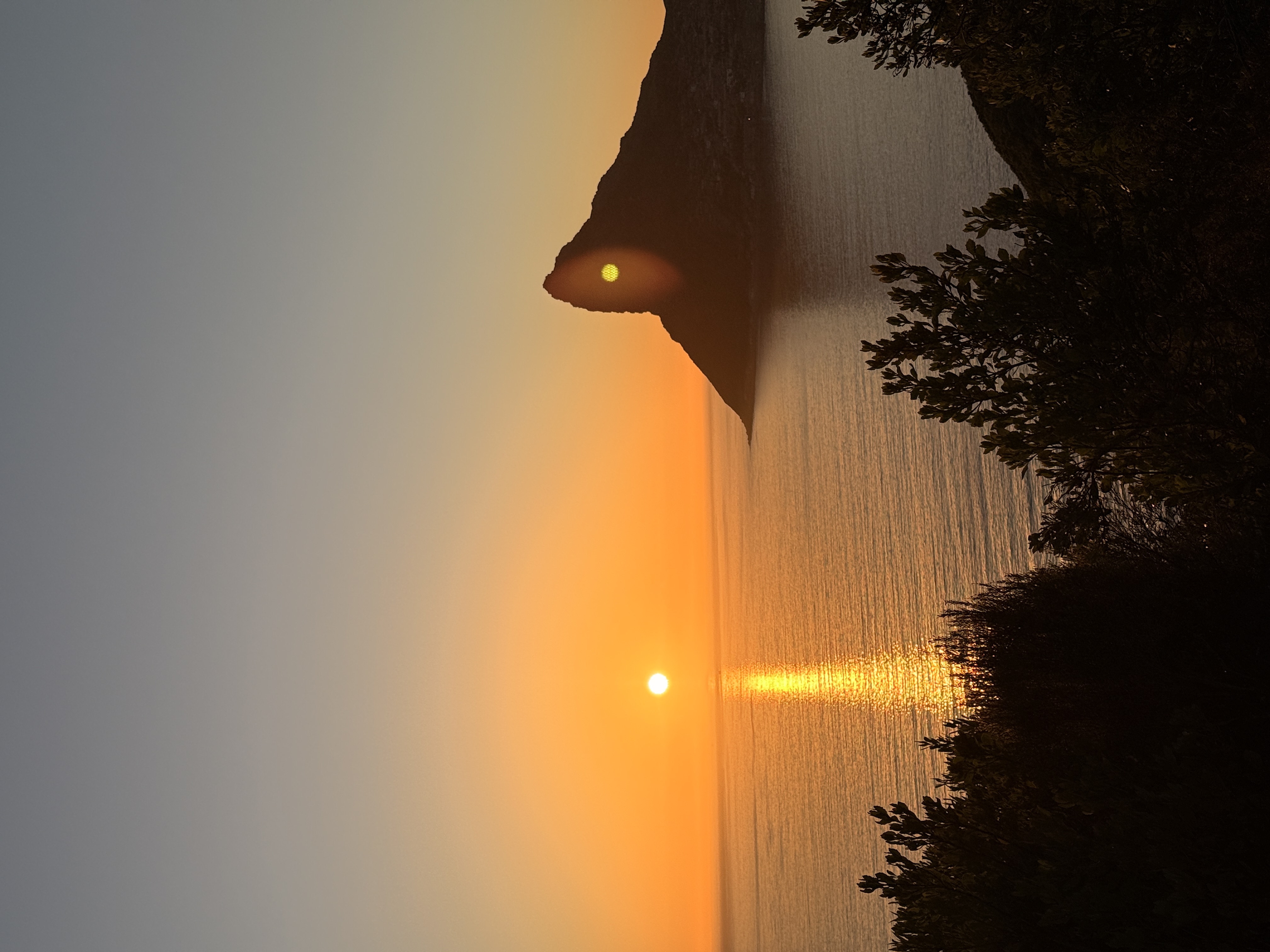 Юар: мыс Доброй Надежды, Столовая гора, пингвины, винодельни, гепарды (38/69)