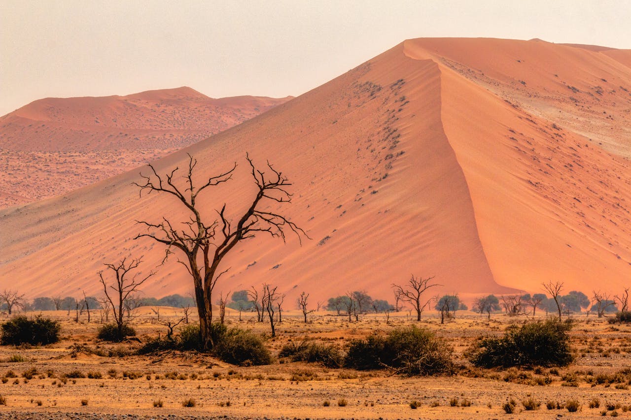 Намибия + Замбия + Зимбабве + Ботсвана (20/46)