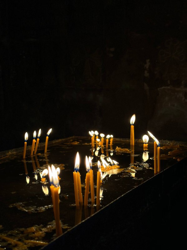 Винный фестиваль, армянское застолье, горы и концерт Лары Фабиан (72/131)