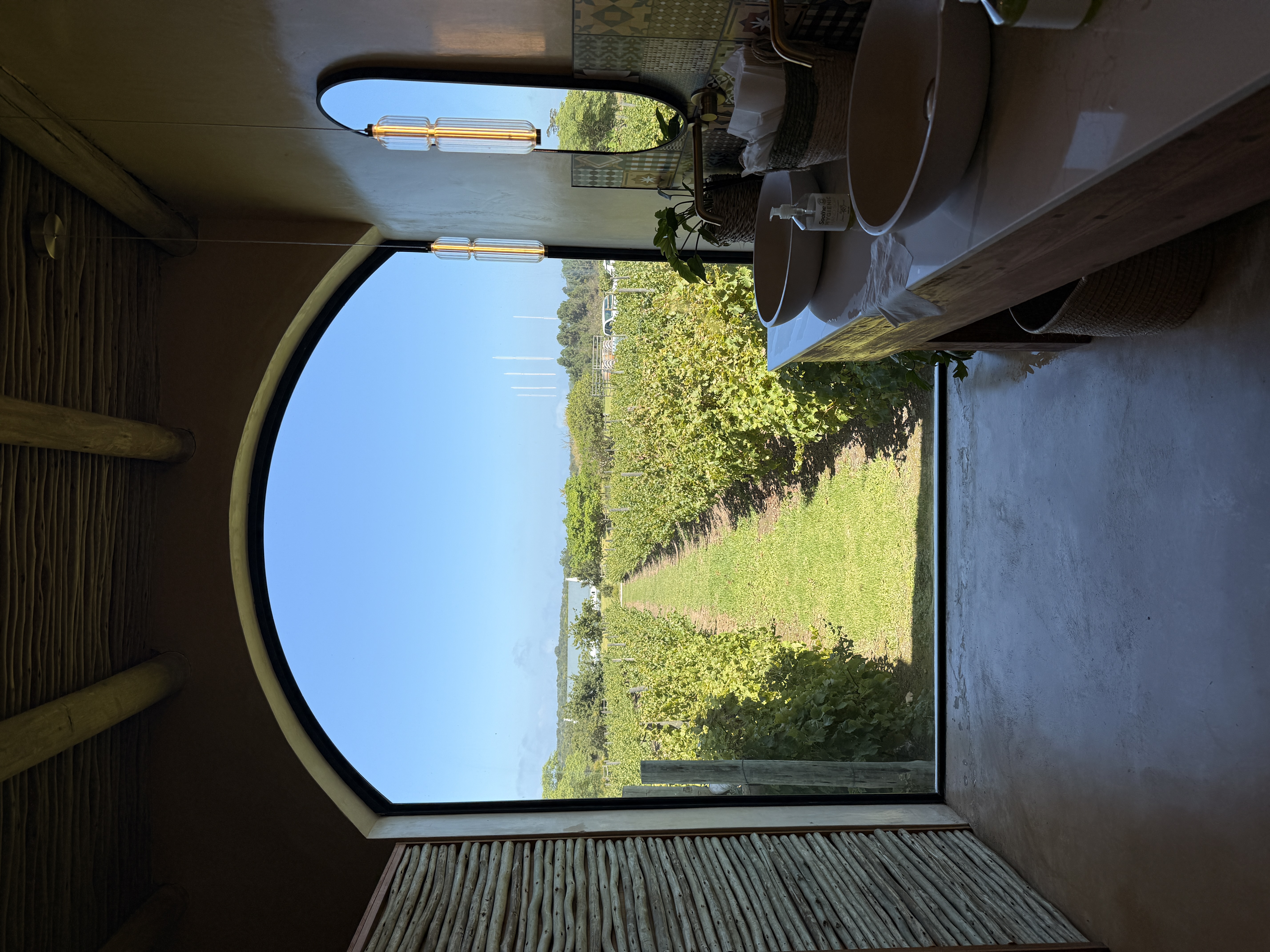 Юар: мыс Доброй Надежды, Столовая гора, пингвины, винодельни, гепарды (17/69)