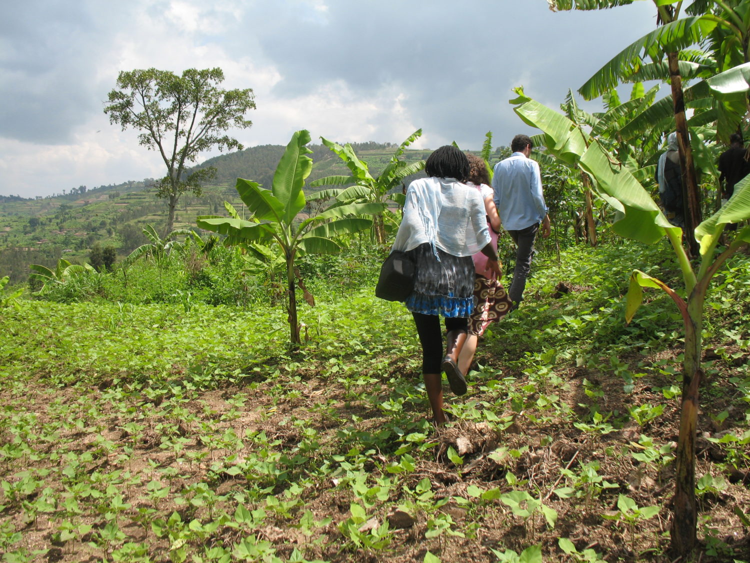 10 Days Kigali, Nyungwe, Lake Kivu And Volcanoes Rwanda Adventure (4/26)