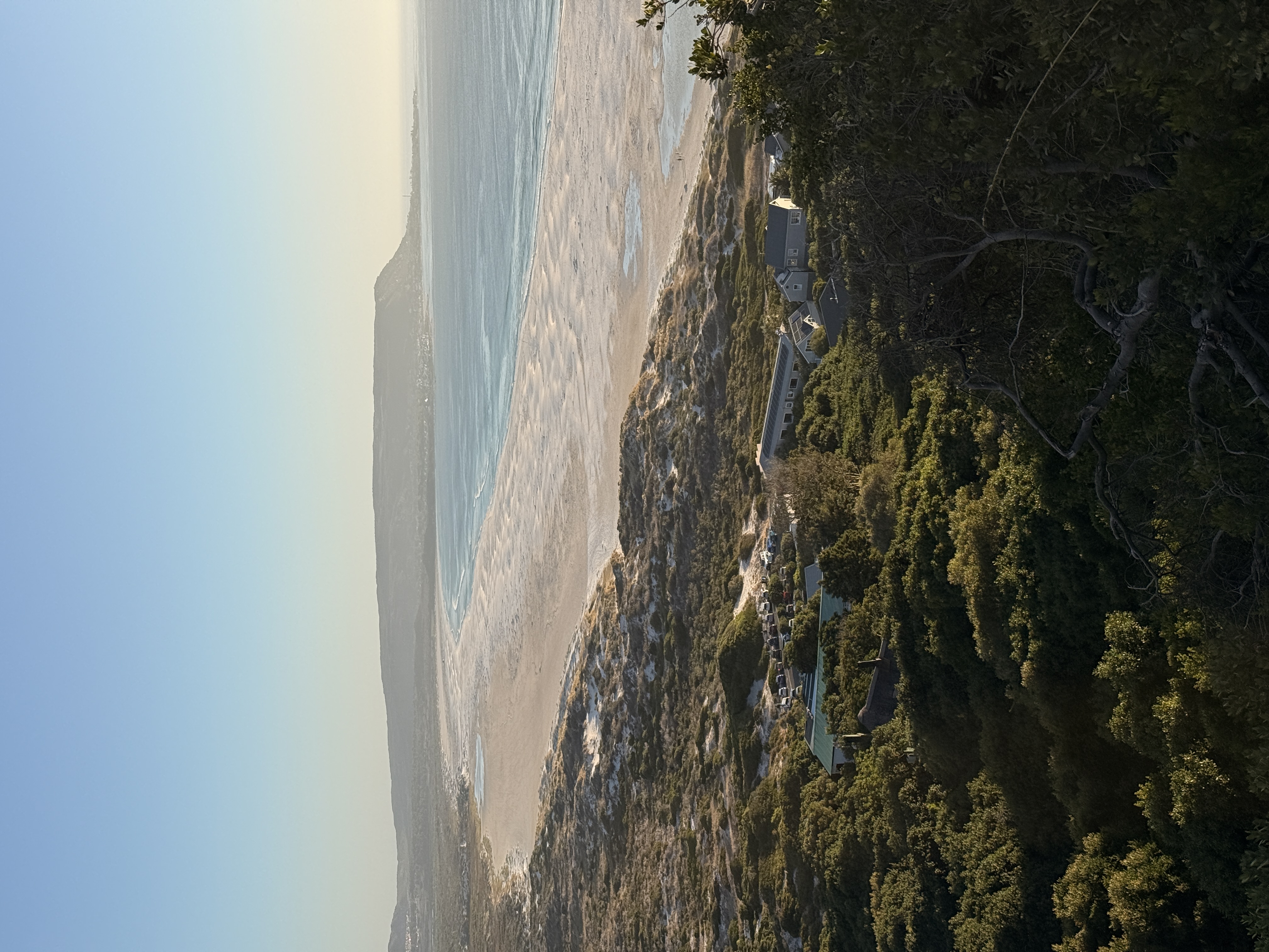 Юар: мыс Доброй Надежды, Столовая гора, пингвины, винодельни, гепарды (37/69)