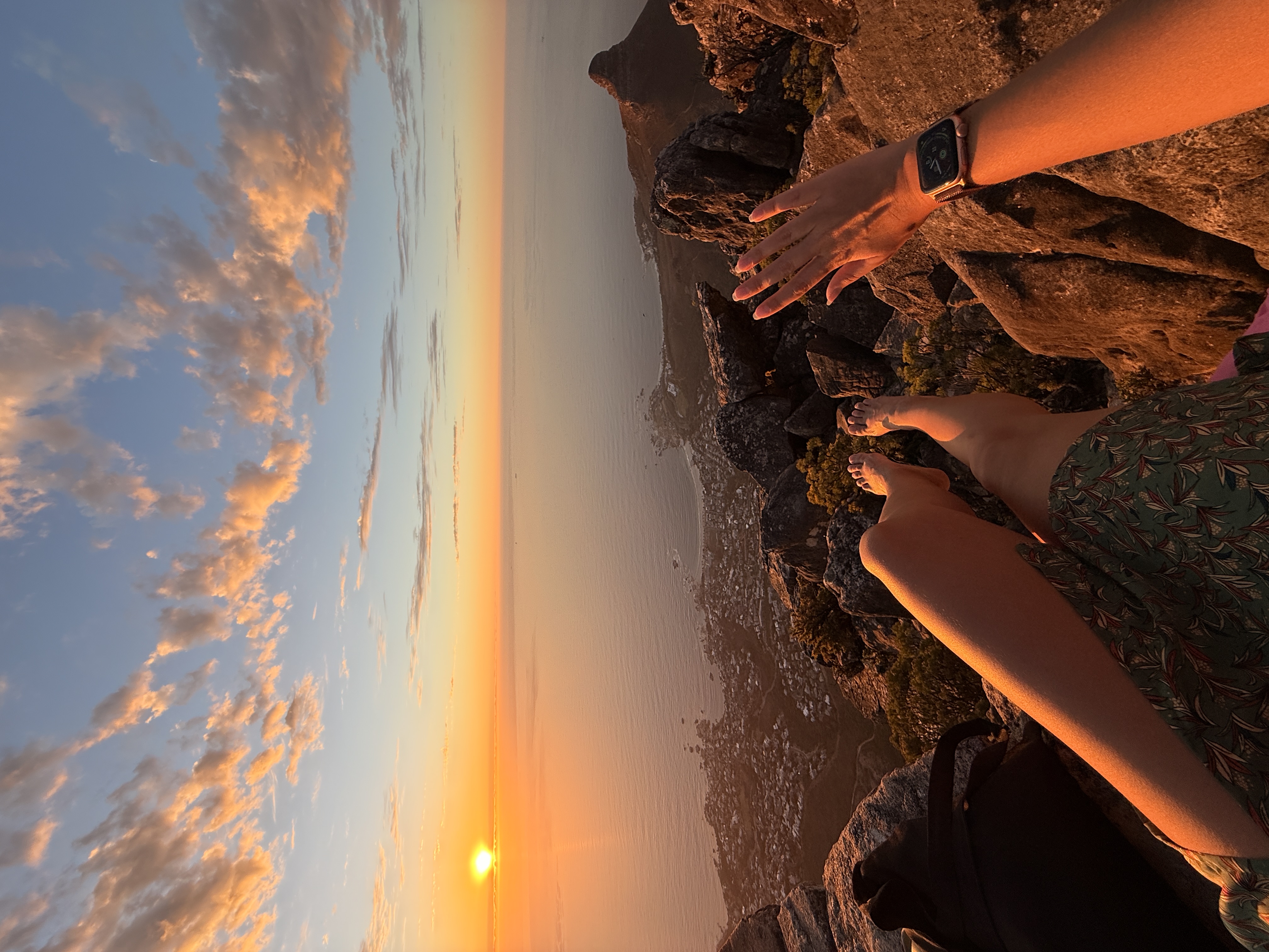 Юар: мыс Доброй Надежды, Столовая гора, пингвины, винодельни, гепарды (56/69)