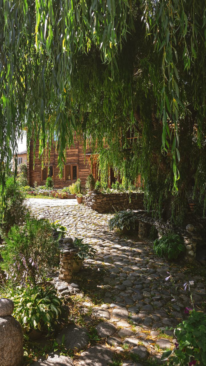 Озёра небесных гор: Сон-Куль и Иссык-Куль за 7 дней (15/22)