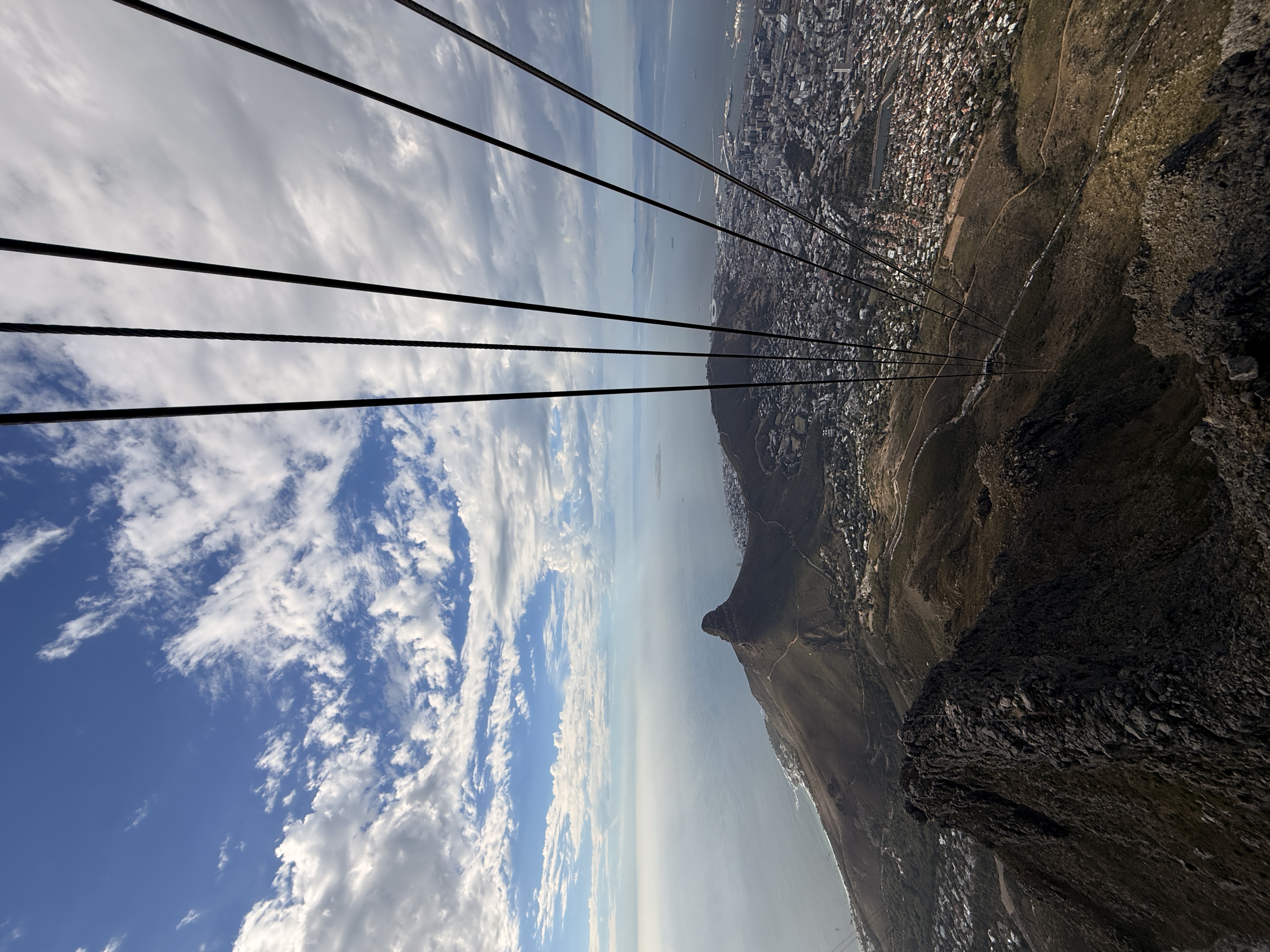 Юар: мыс Доброй Надежды, Столовая гора, пингвины, винодельни, гепарды (43/69)