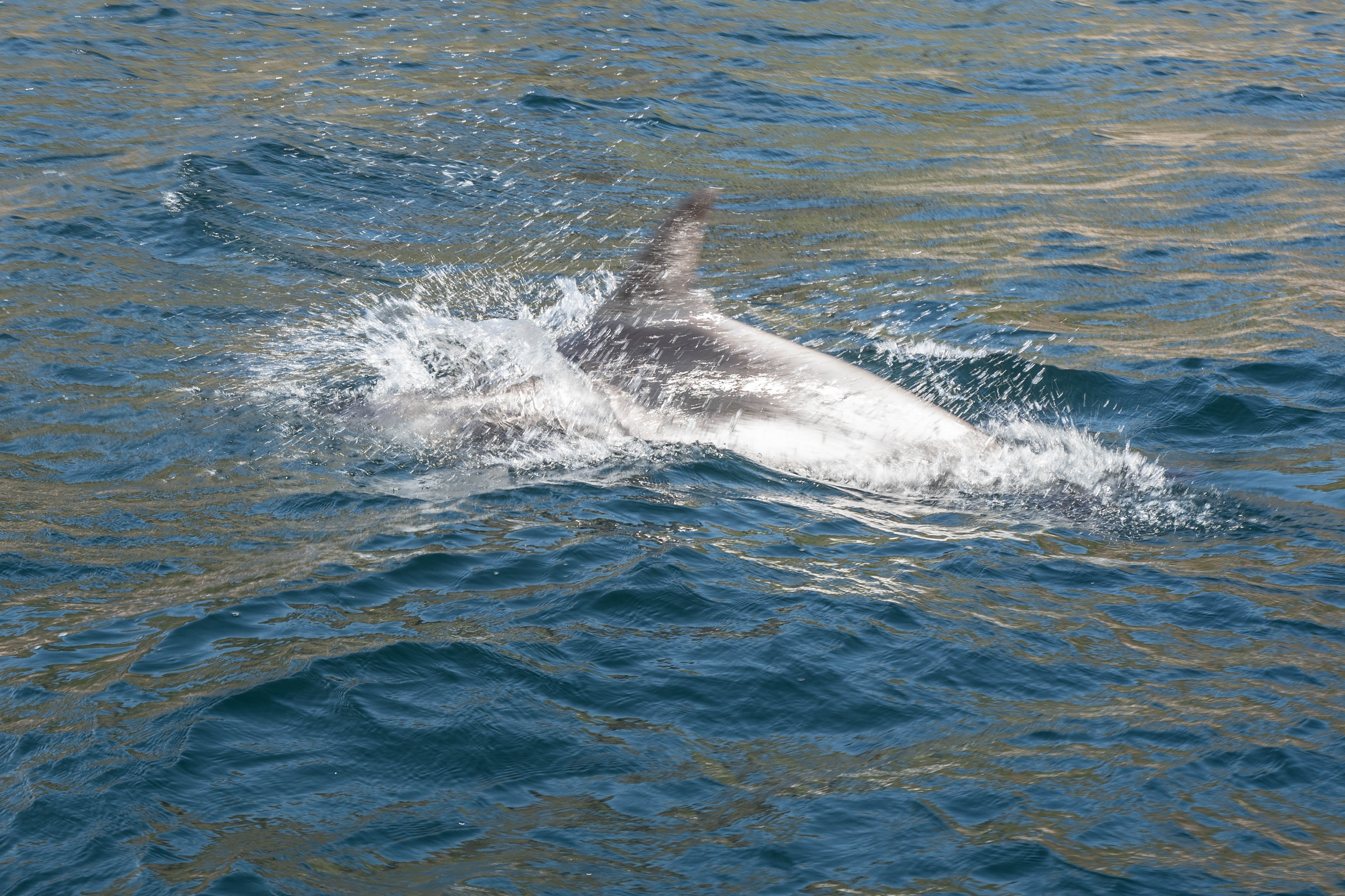 Заполярные каникулы (17/23)