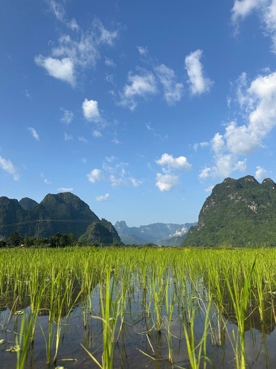 Петля Свободы. Мото-приключение по Вьетнаму (9/33)