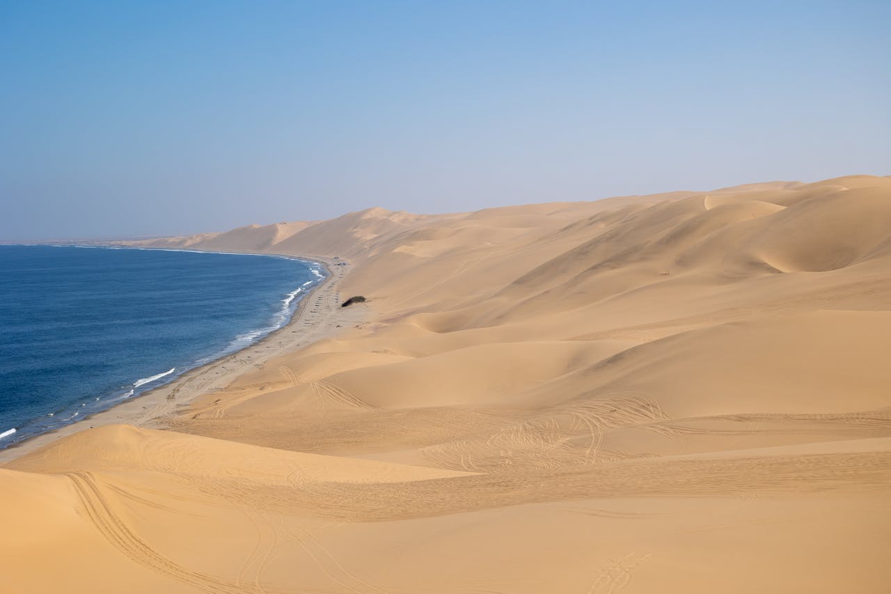 Намибия + Замбия + Зимбабве + Ботсвана (19/46)