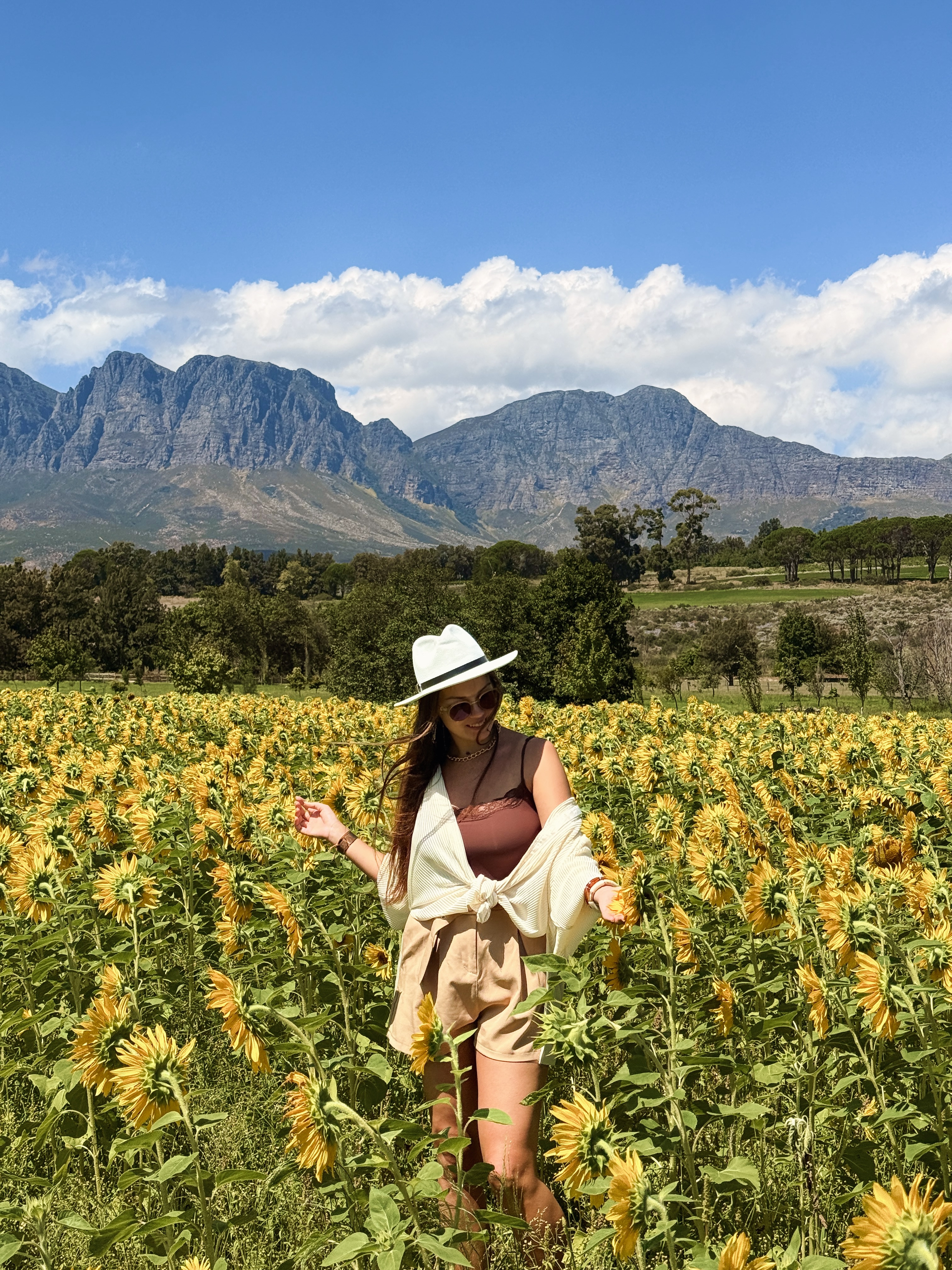 Юар: мыс Доброй Надежды, Столовая гора, пингвины, винодельни, гепарды (62/69)