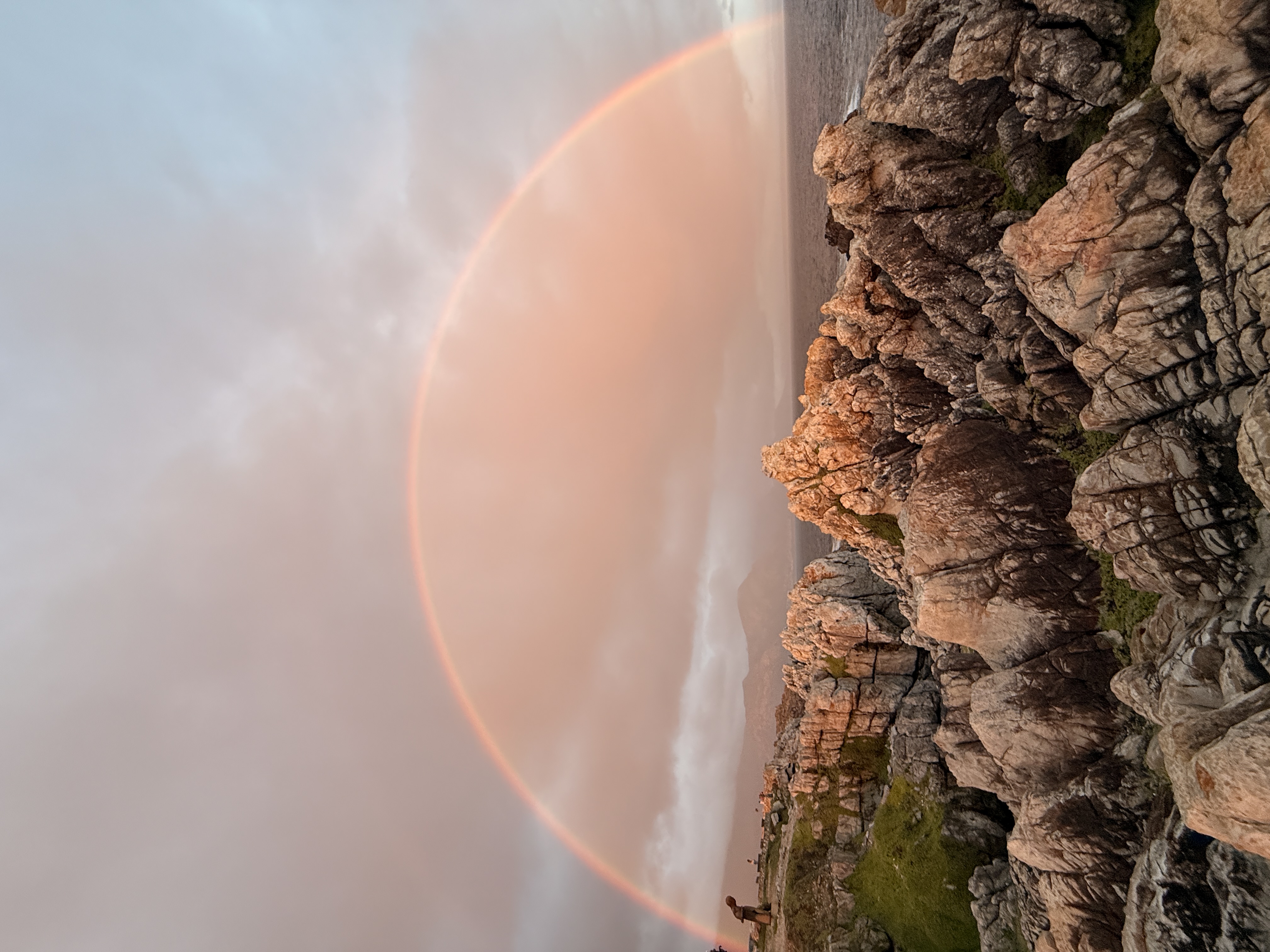 Юар: мыс Доброй Надежды, Столовая гора, пингвины, винодельни, гепарды (18/69)