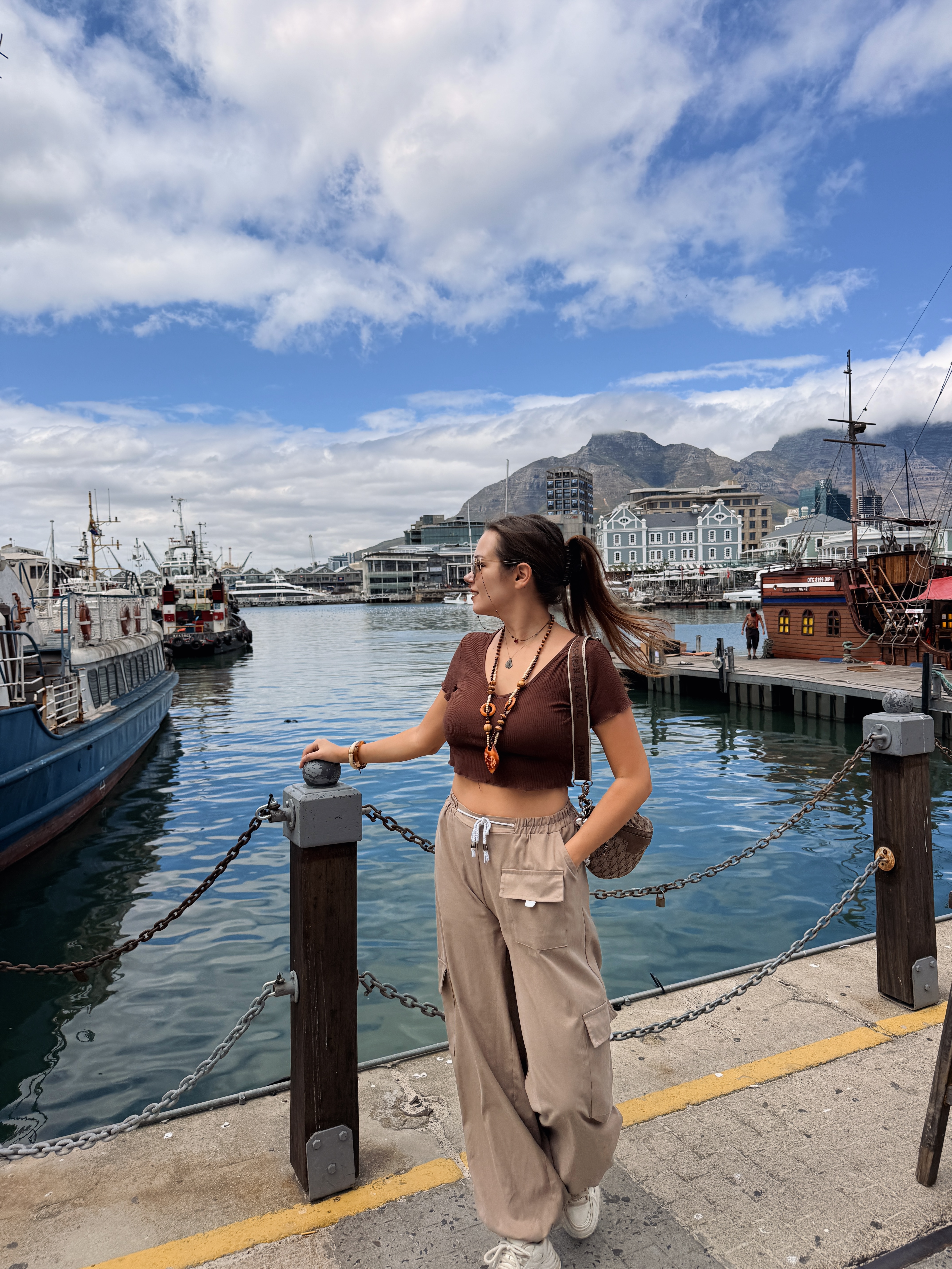 Юар: мыс Доброй Надежды, Столовая гора, пингвины, винодельни, гепарды (5/69)