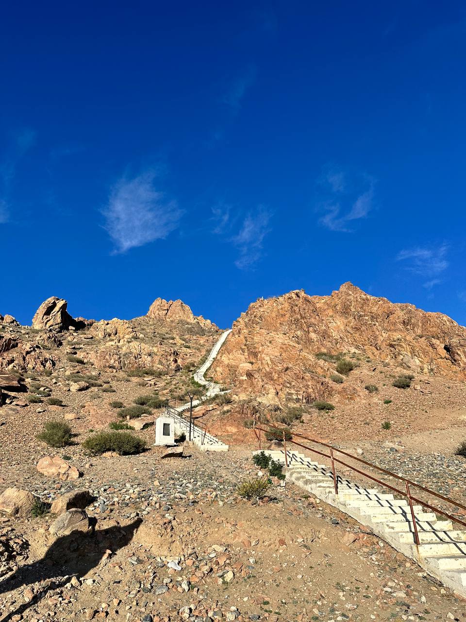 Цветущая Монголия. Озера и Барханы (22/47)