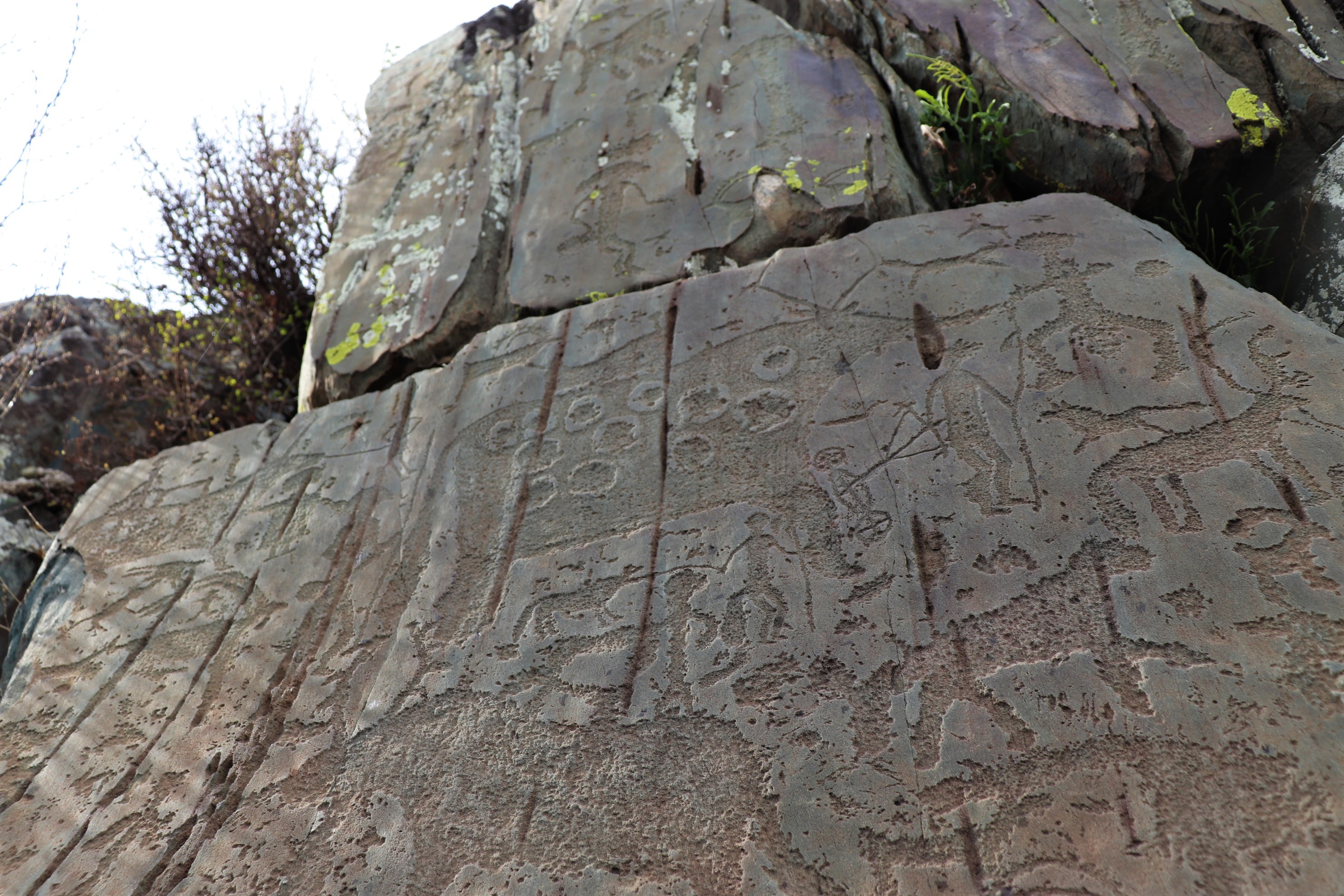 Алтай Аллегро 2026 (группа для 2-4 чел.) (24/34)