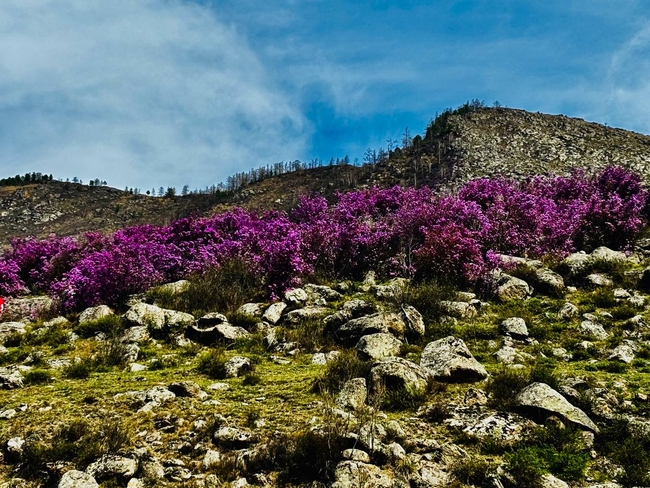 По следам Йети  Премиум - 6 дней (6/19)