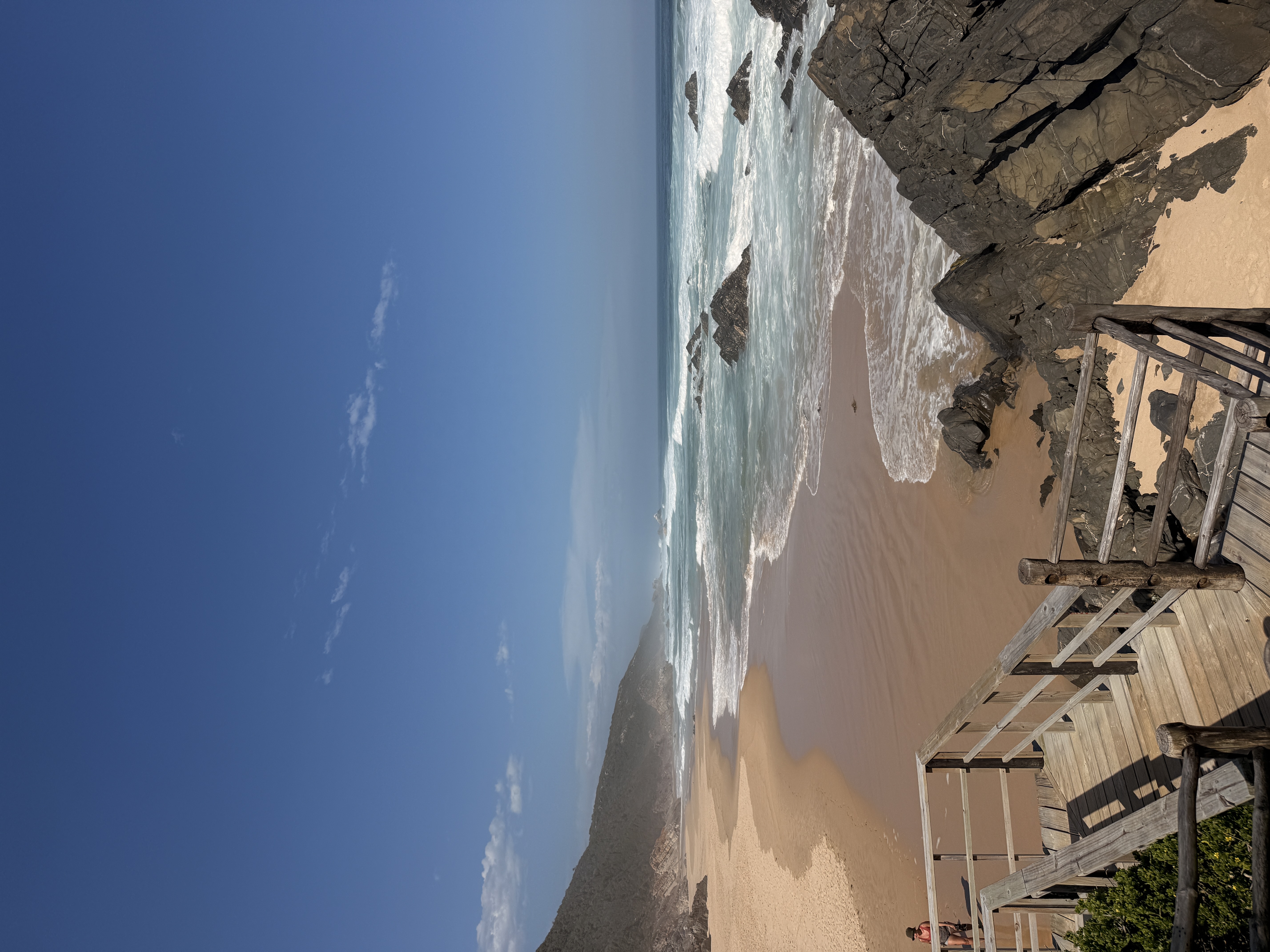 Юар: мыс Доброй Надежды, Столовая гора, пингвины, винодельни, гепарды (67/69)