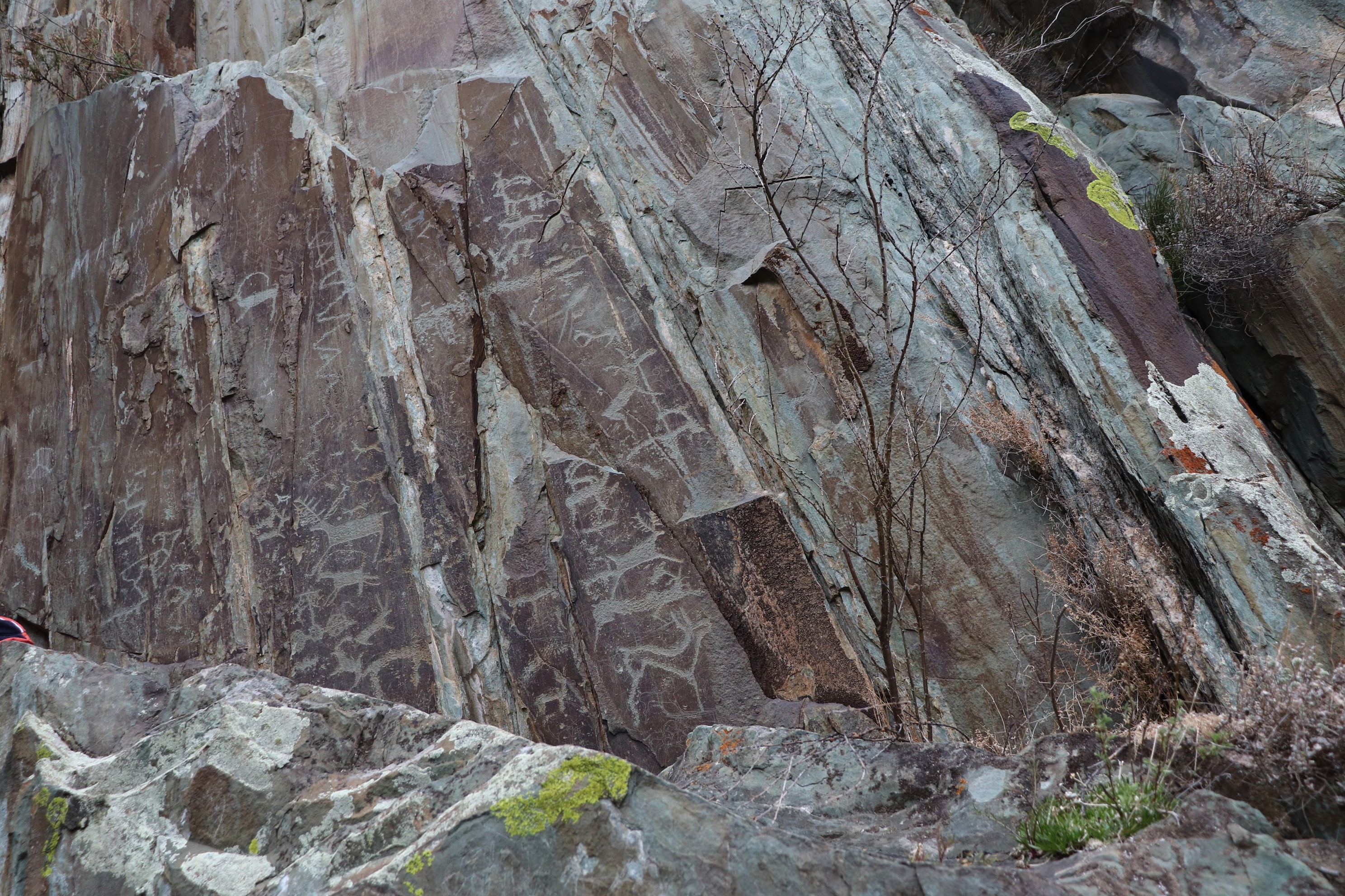 Алтай Аллегро 2026 (группа для 2-4 чел.) (33/34)