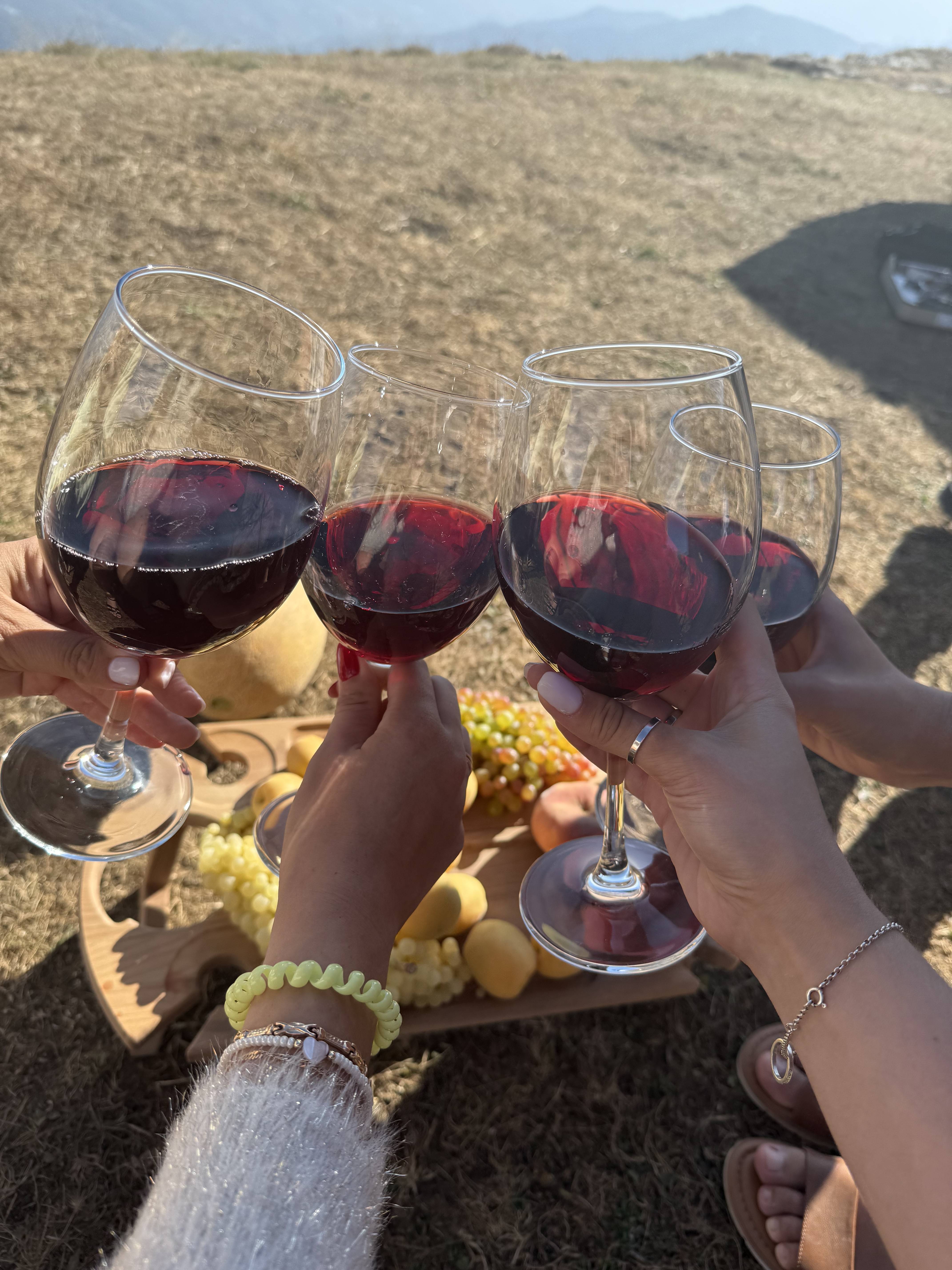 Винный фестиваль, армянское застолье, горы и концерт Лары Фабиан (86/131)