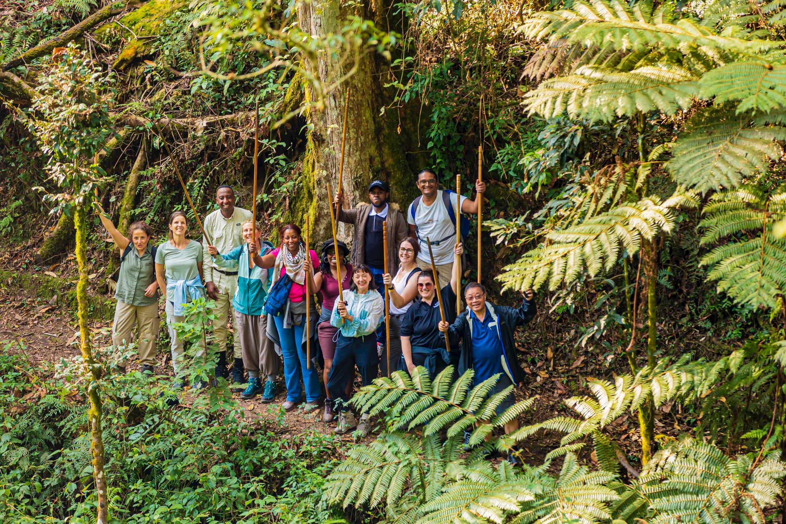 10 Days Kigali, Nyungwe, Lake Kivu And Volcanoes Rwanda Adventure (10/26)