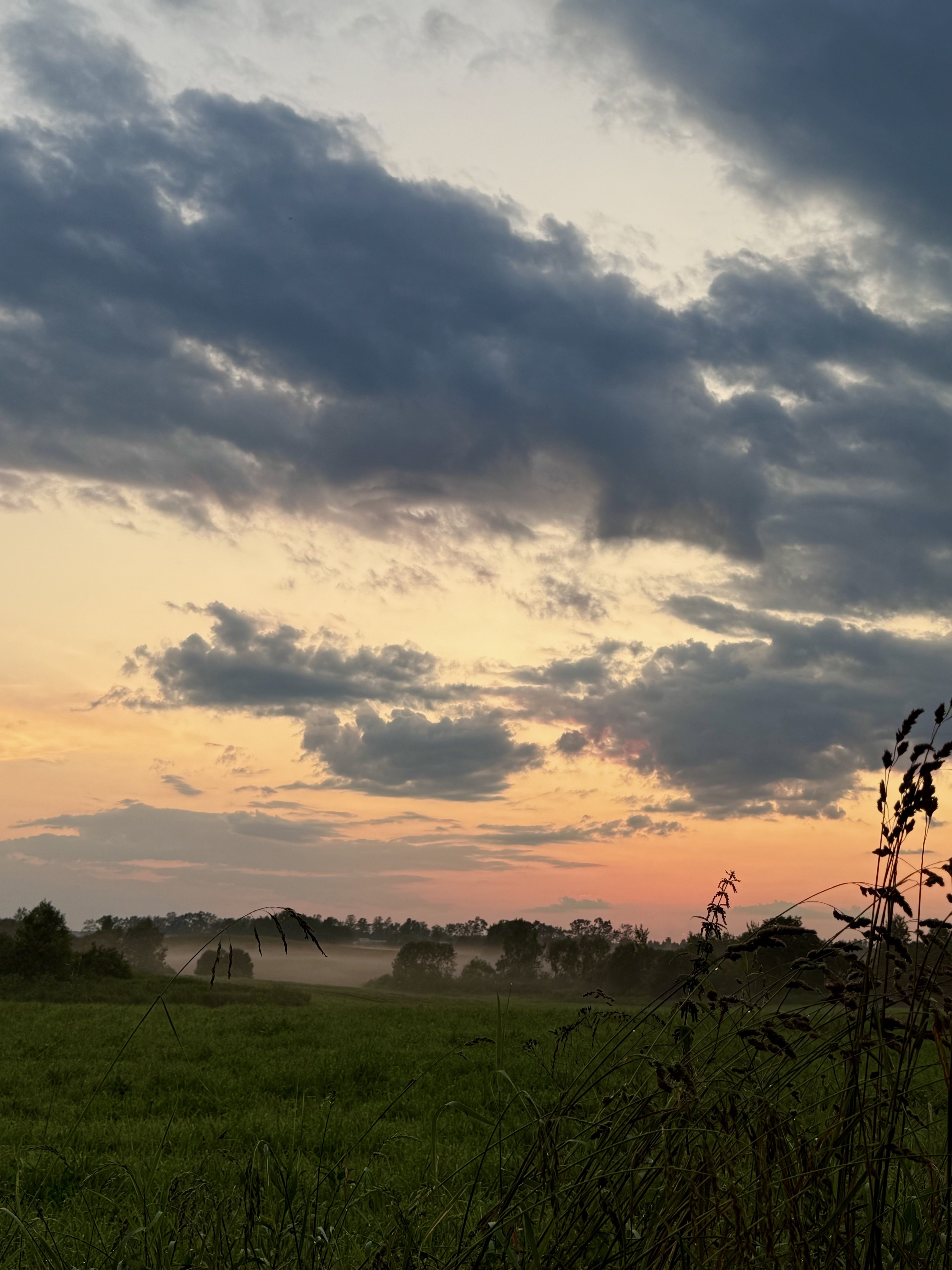 Поедь в Псоедь. Путешествие в деревню, где история оживает (3/9)
