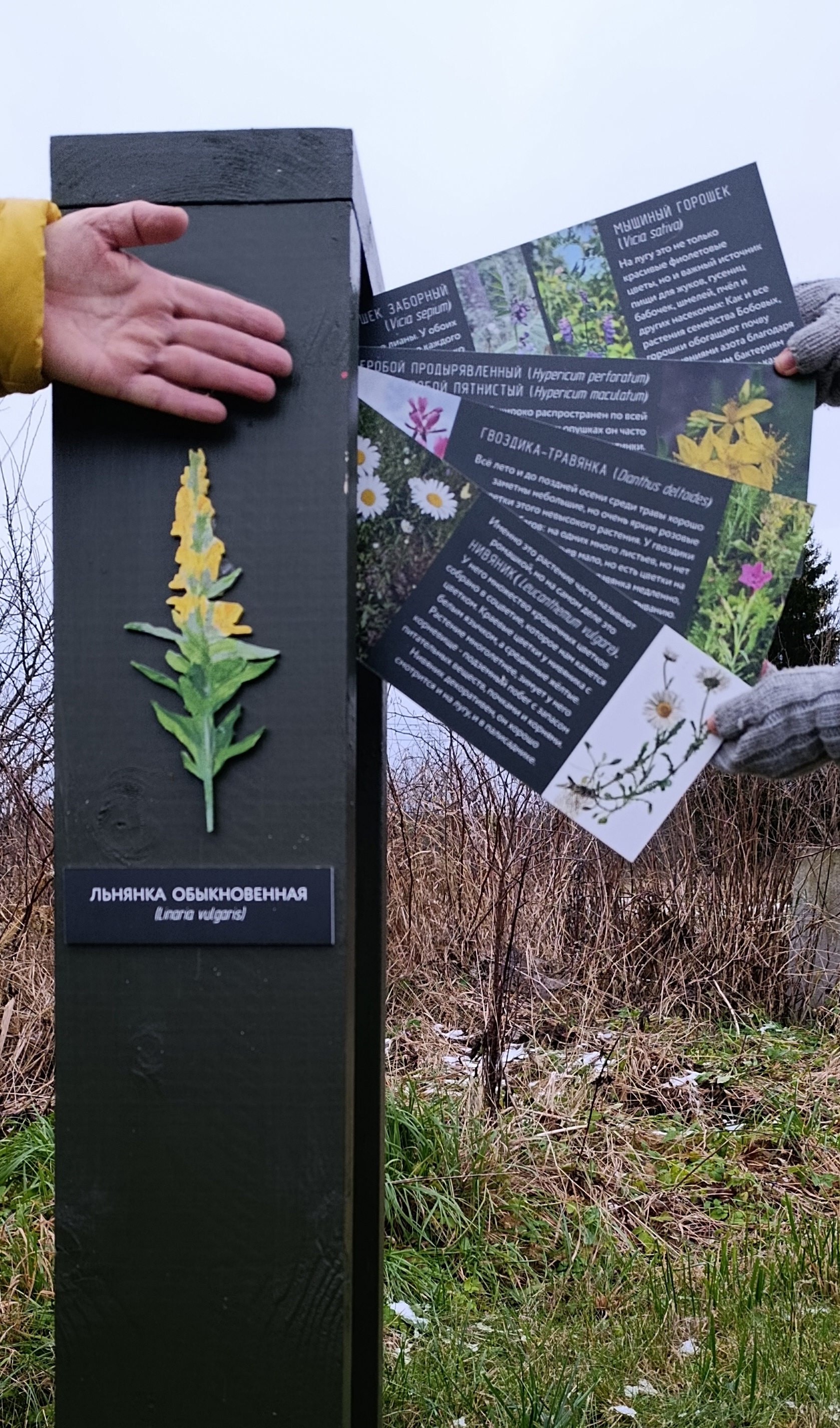 Поедь в Псоедь. Путешествие в деревню, где история оживает (6/9)