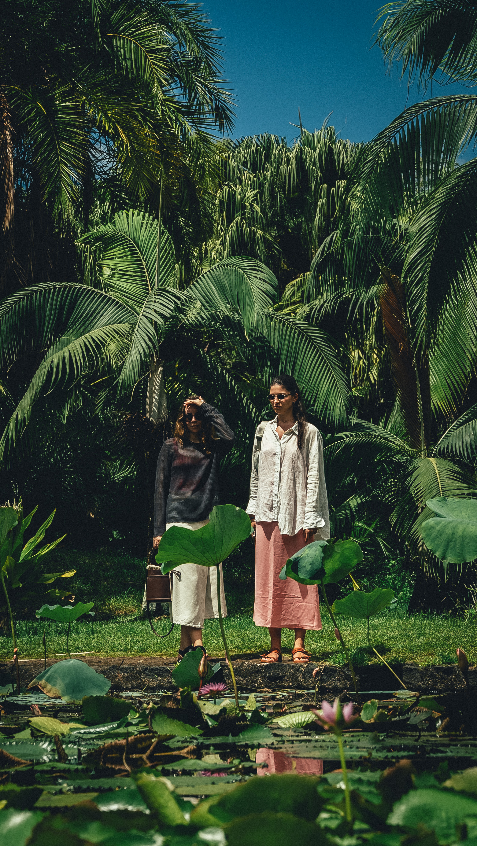 Райский остров: Маврикий (23/27)