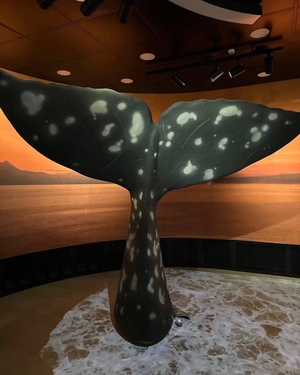 Камчатка на максимум: весенний маршрут (7/14)