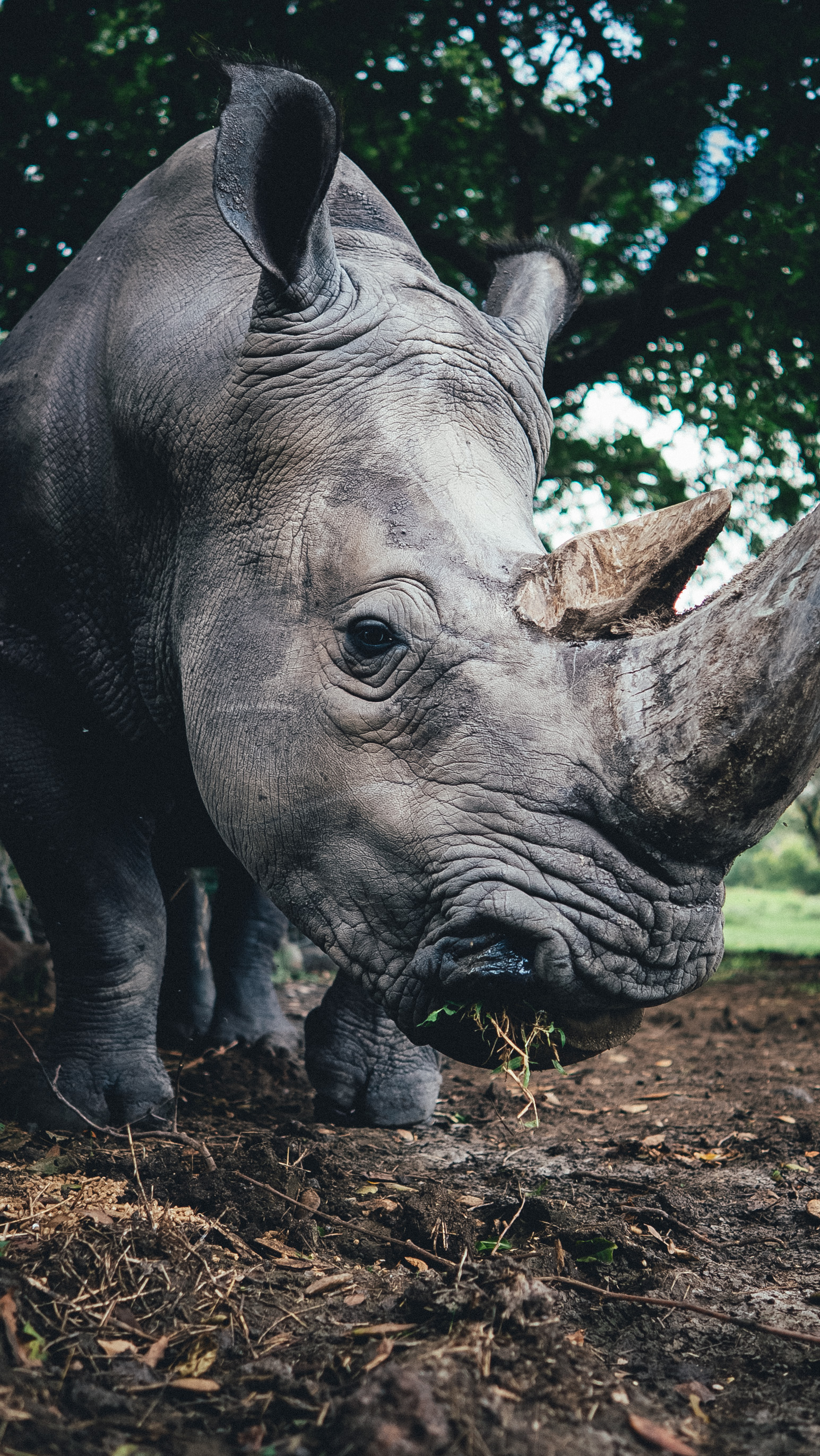 Райский остров: Маврикий (12/27)