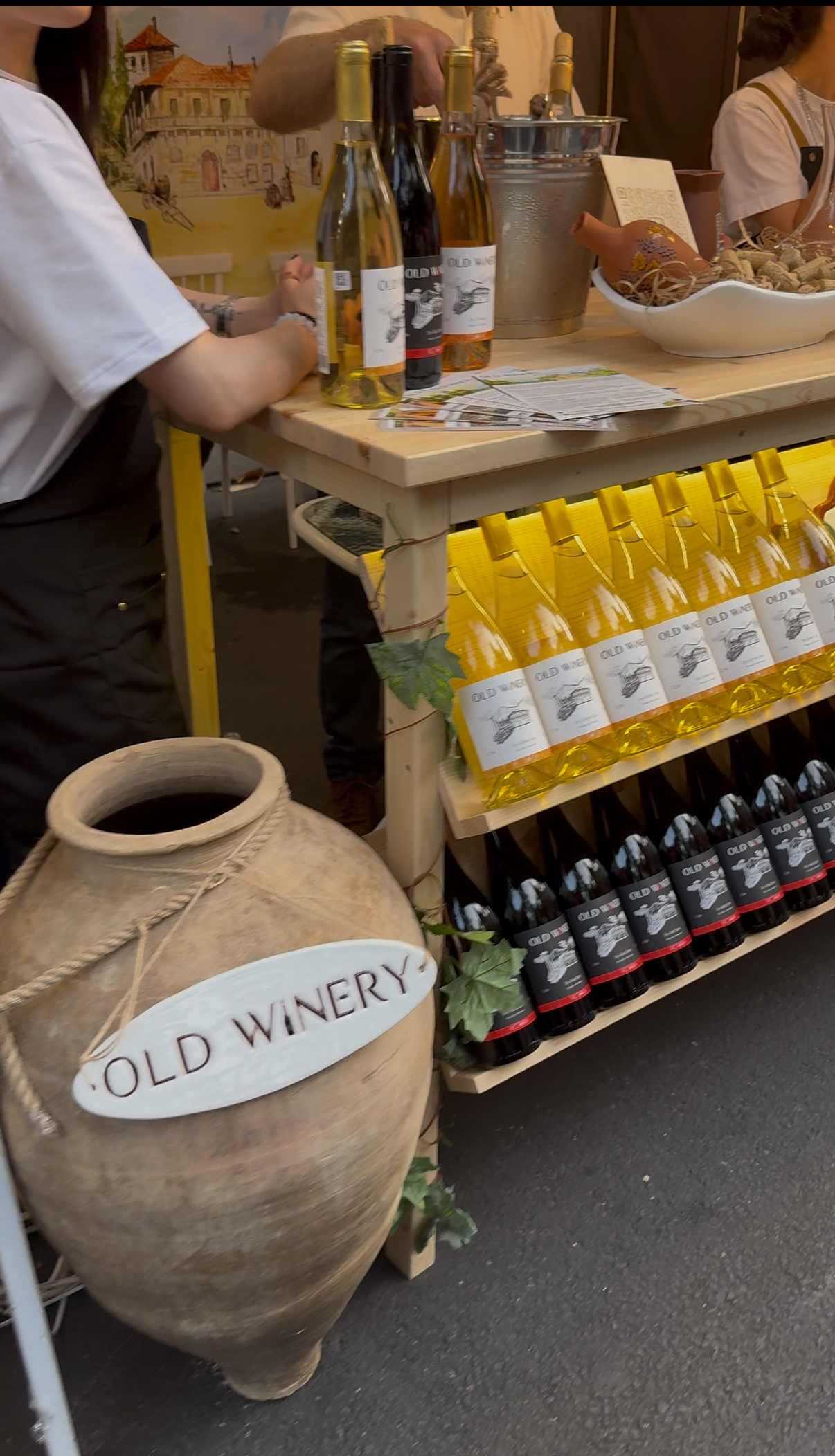 Винный фестиваль, армянское застолье, горы и концерт Лары Фабиан (115/131)