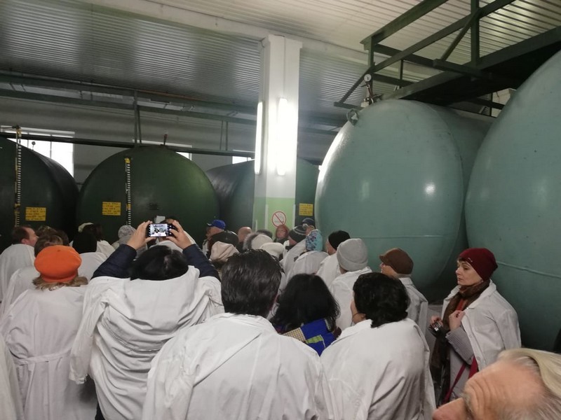 Кулинарная Одиссея: от Весьегонии до русской Атлантиды (11/14)