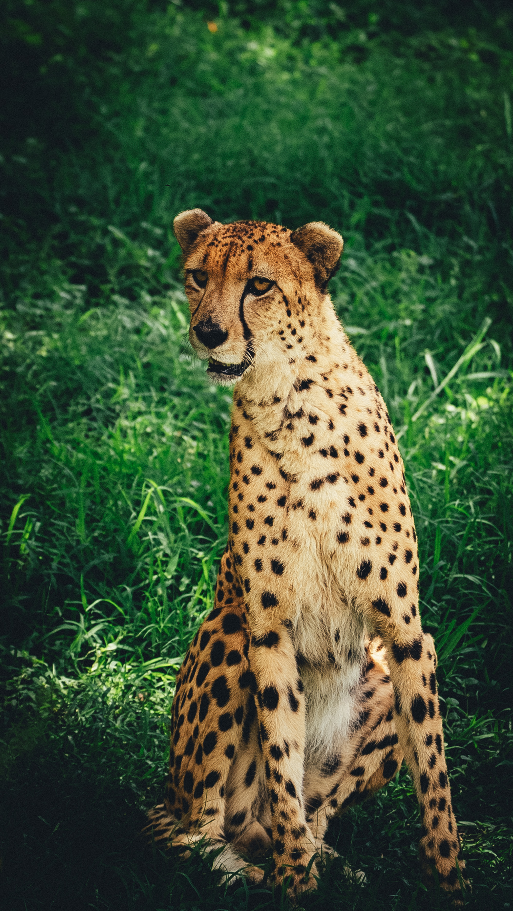 Райский остров: Маврикий (3/27)