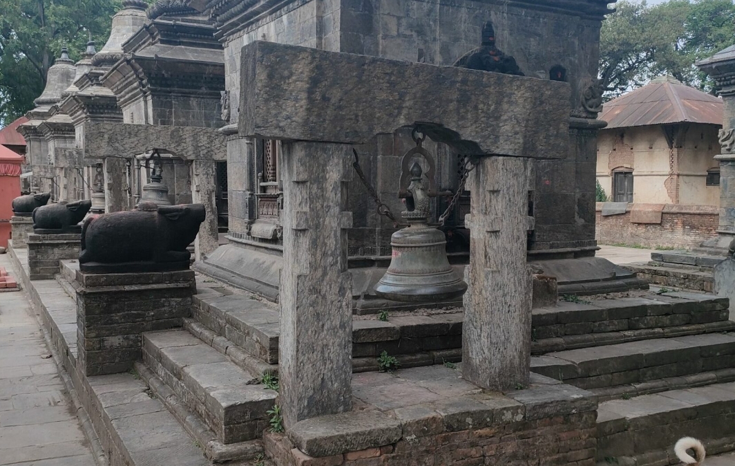 Почувствуй крышу мира: йога-путешествие в сердце Гималаев (17/19)