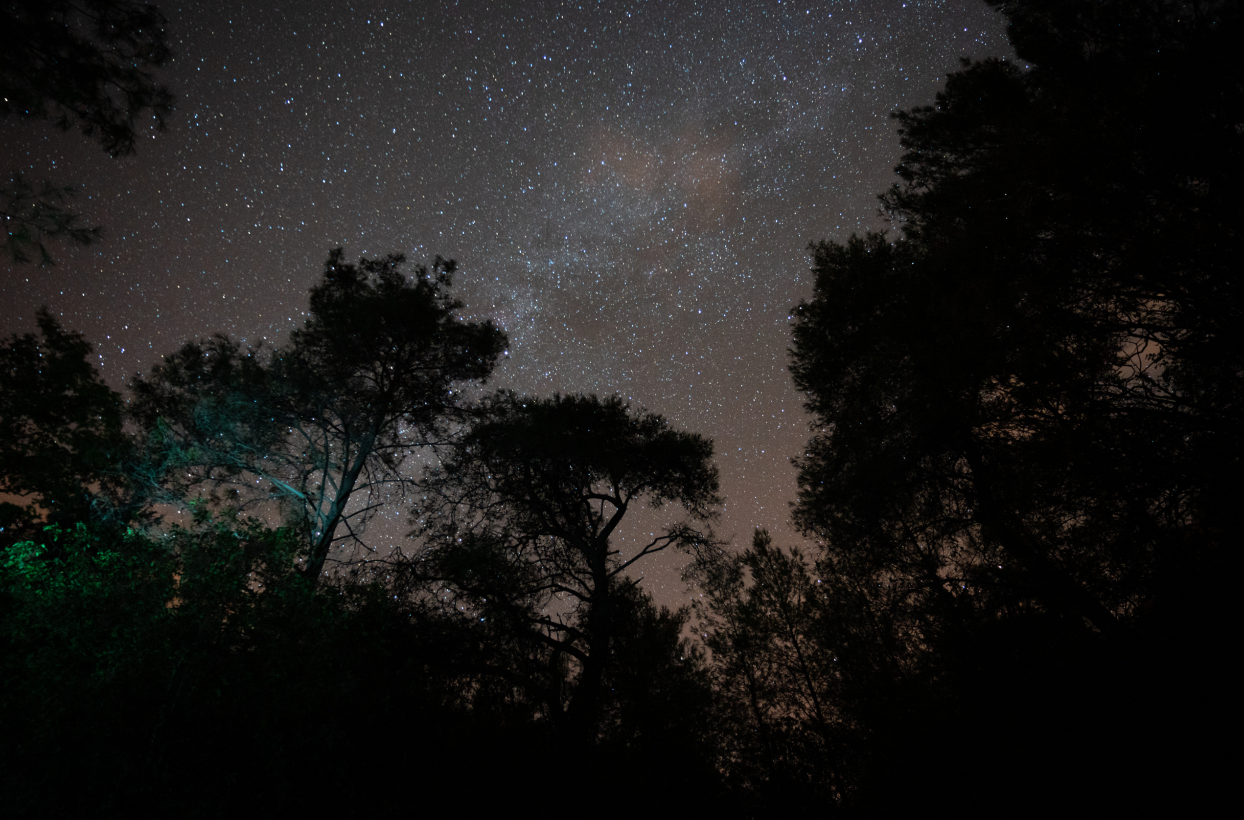 Яхты и трекинг Ликия (6/14)