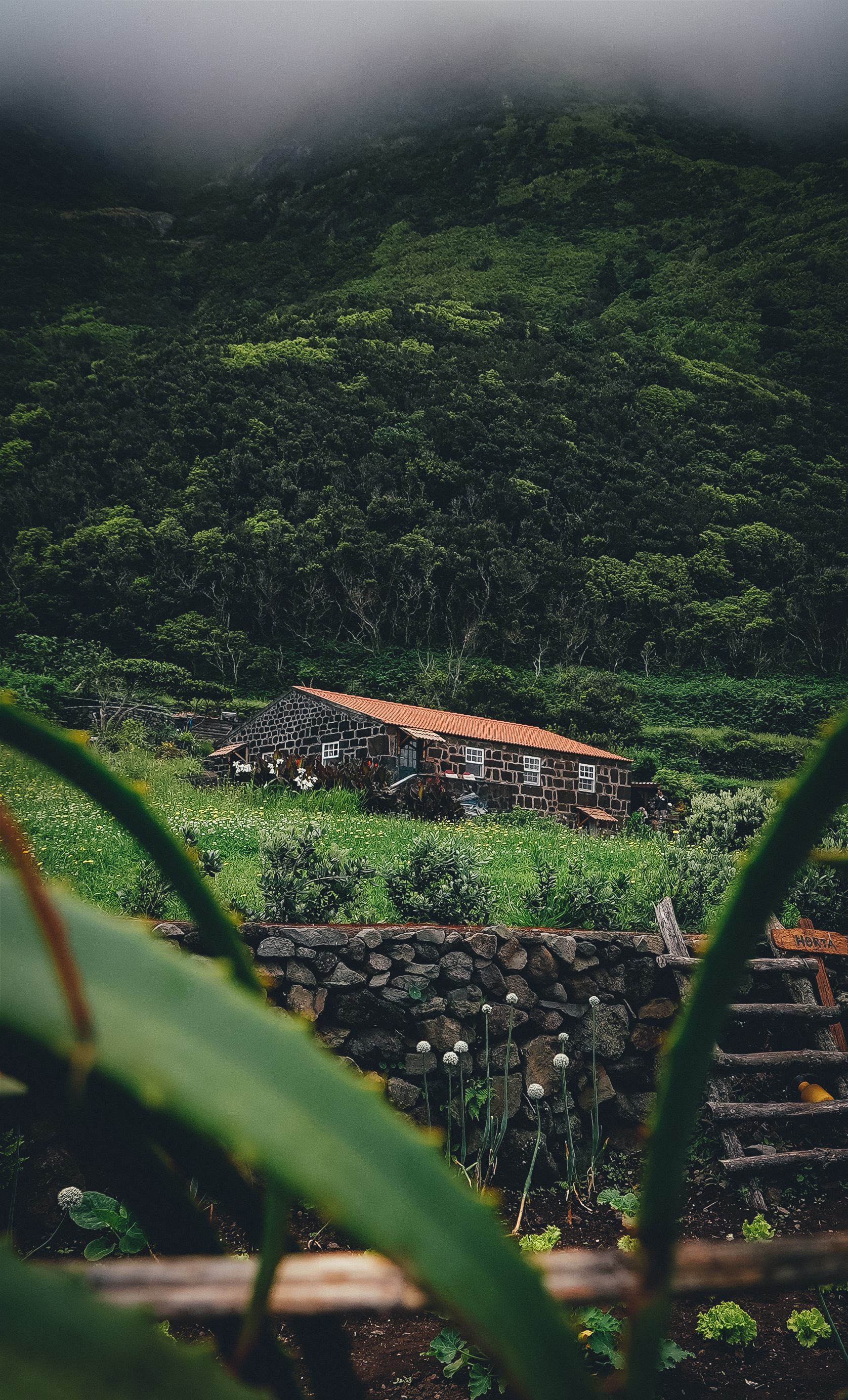 Затерянный мир: Азорские острова (48/55)