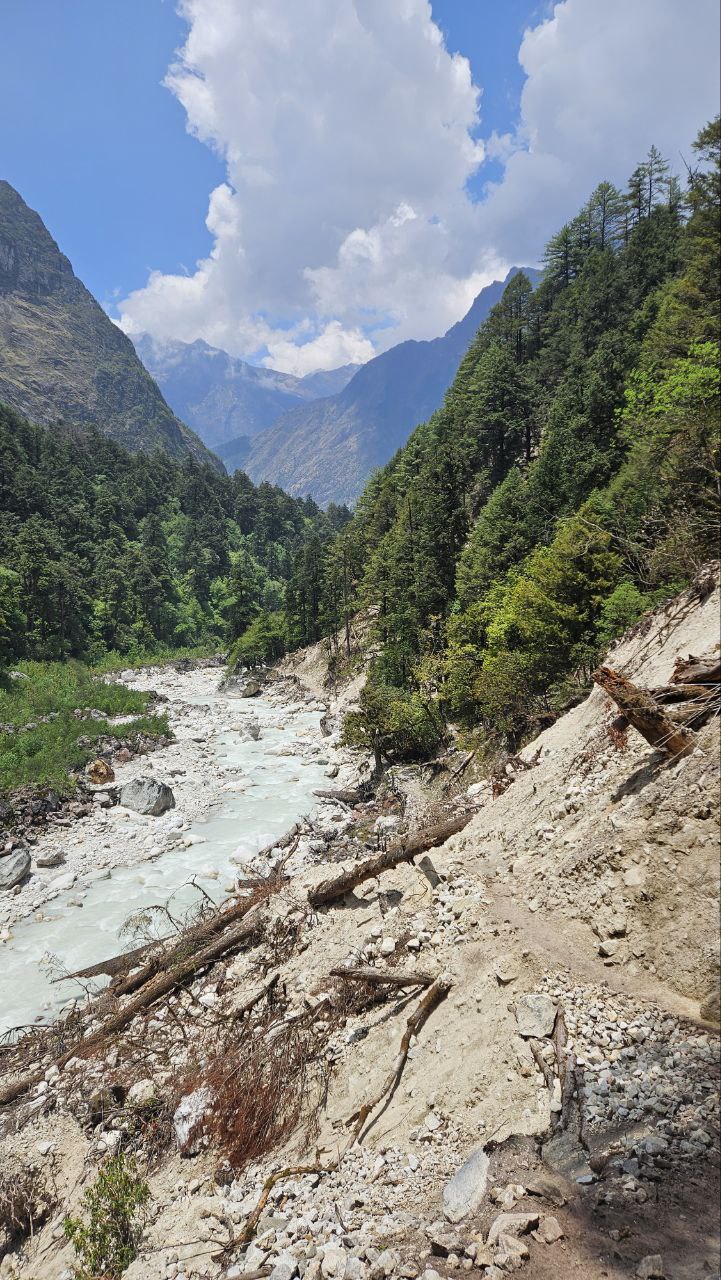 Почувствуй крышу мира: йога-путешествие в сердце Гималаев (13/19)
