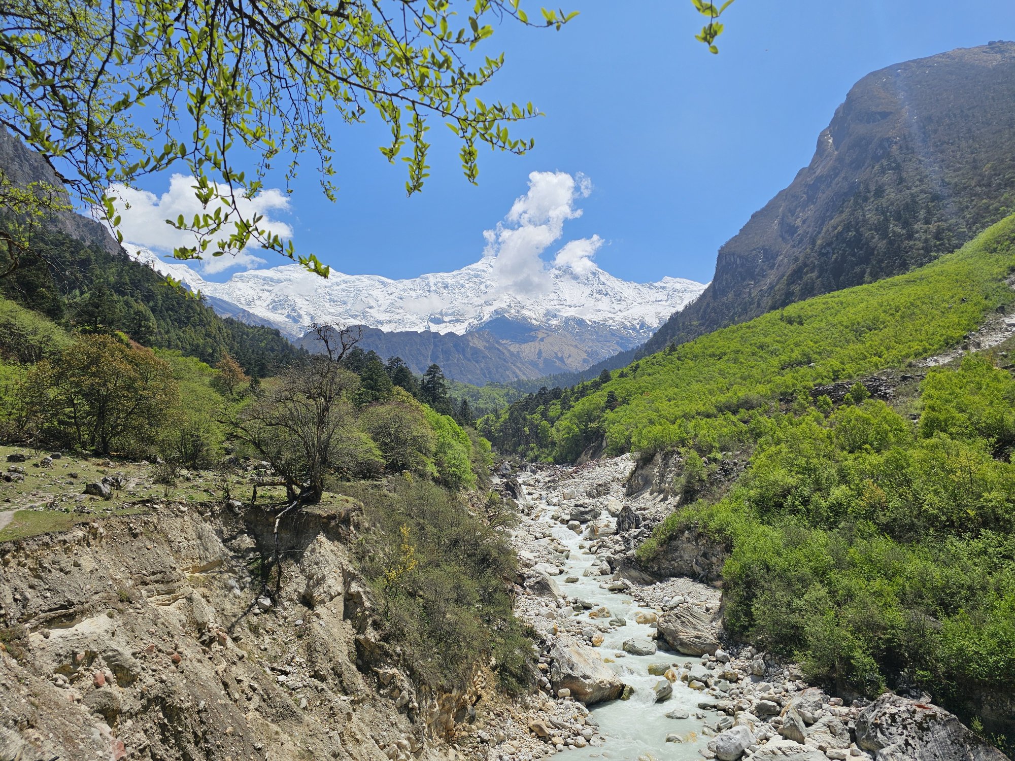 Почувствуй крышу мира: йога-путешествие в сердце Гималаев (5/19)