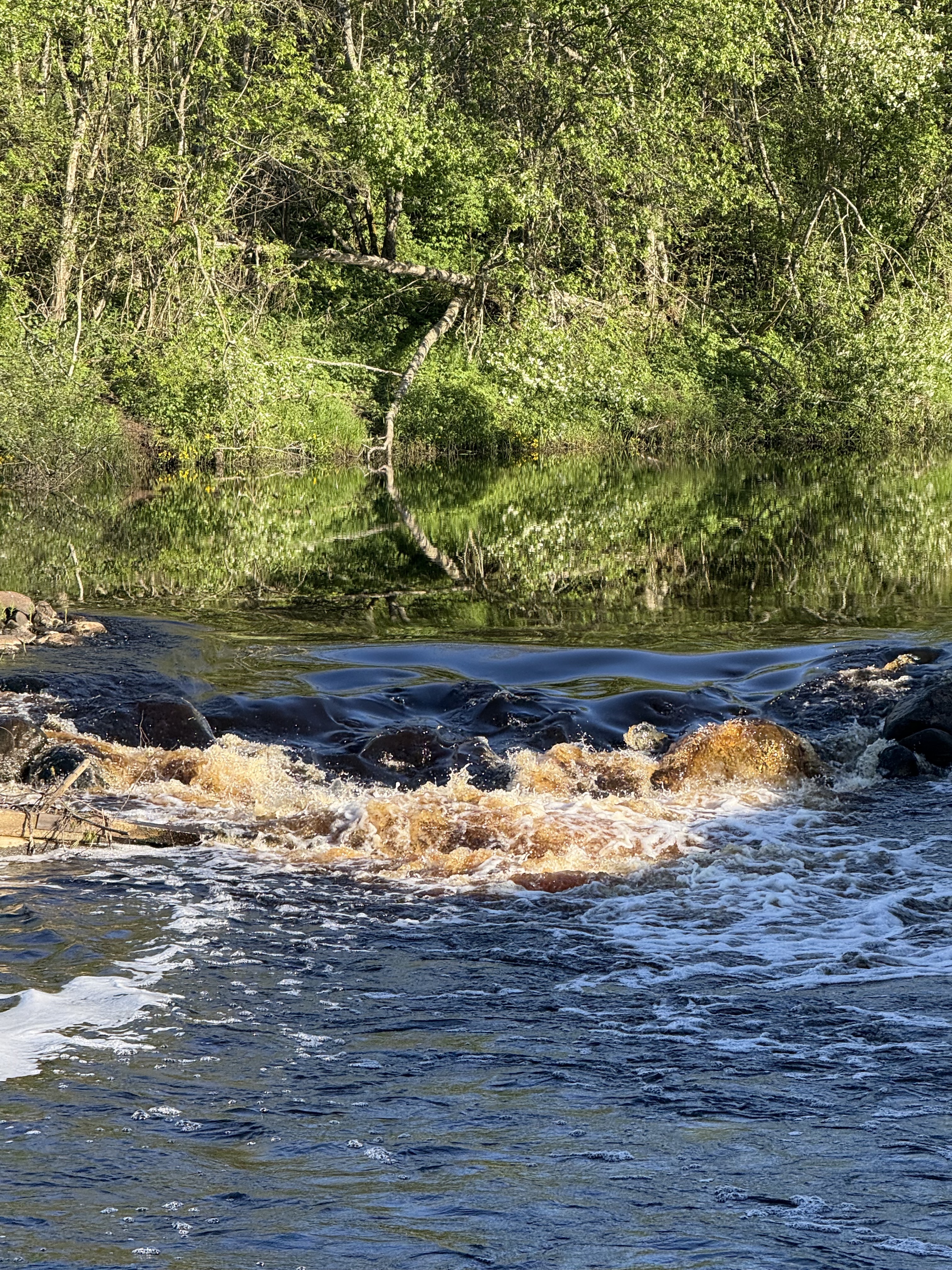 Поедь в Псоедь. Путешествие в деревню, где история оживает (4/9)