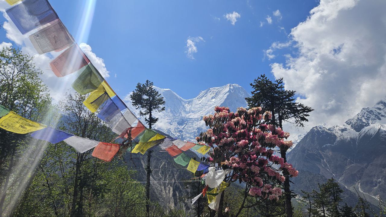 Почувствуй крышу мира: йога-путешествие в сердце Гималаев (8/19)