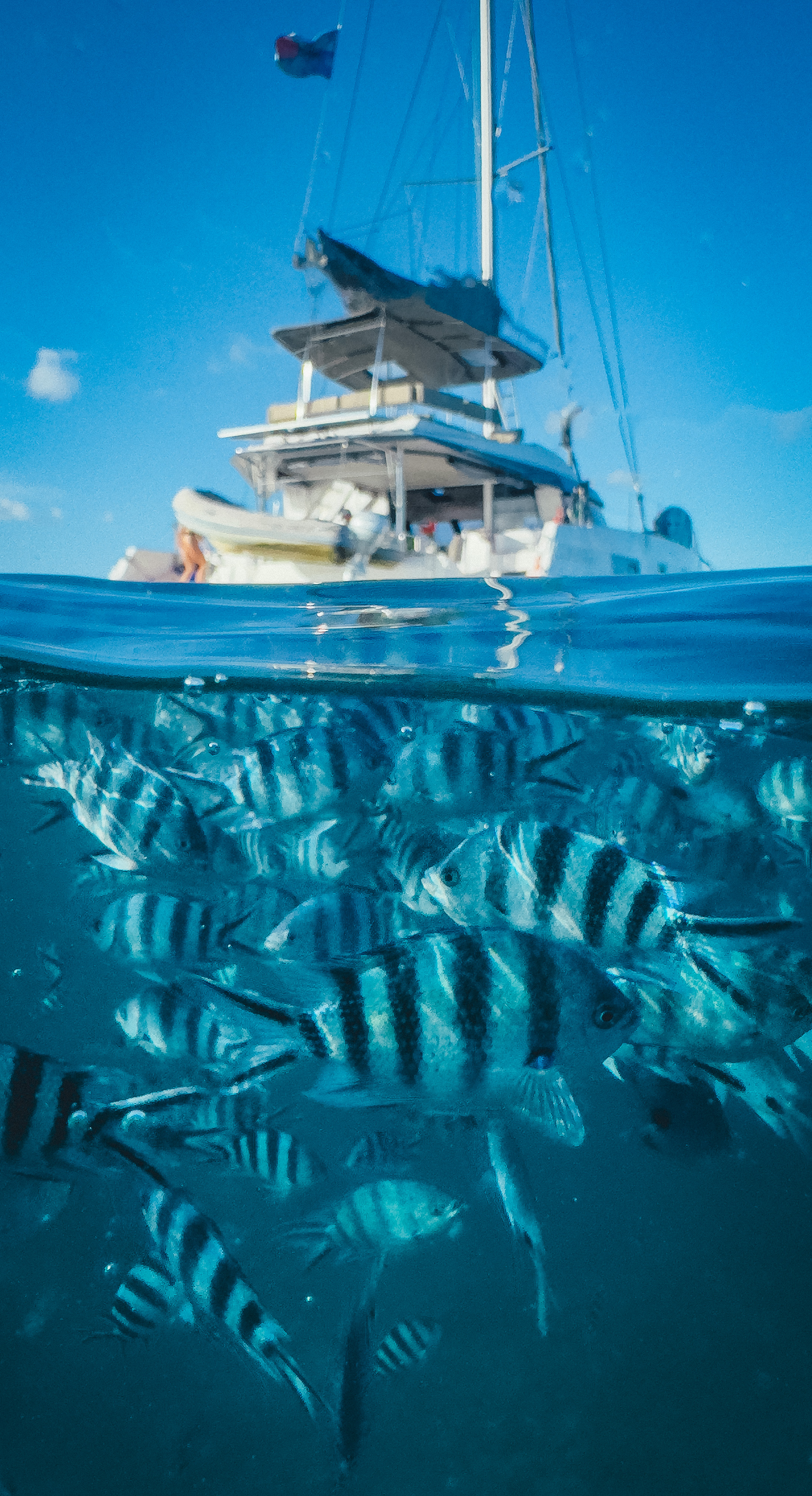 Райский остров: Маврикий (9/27)