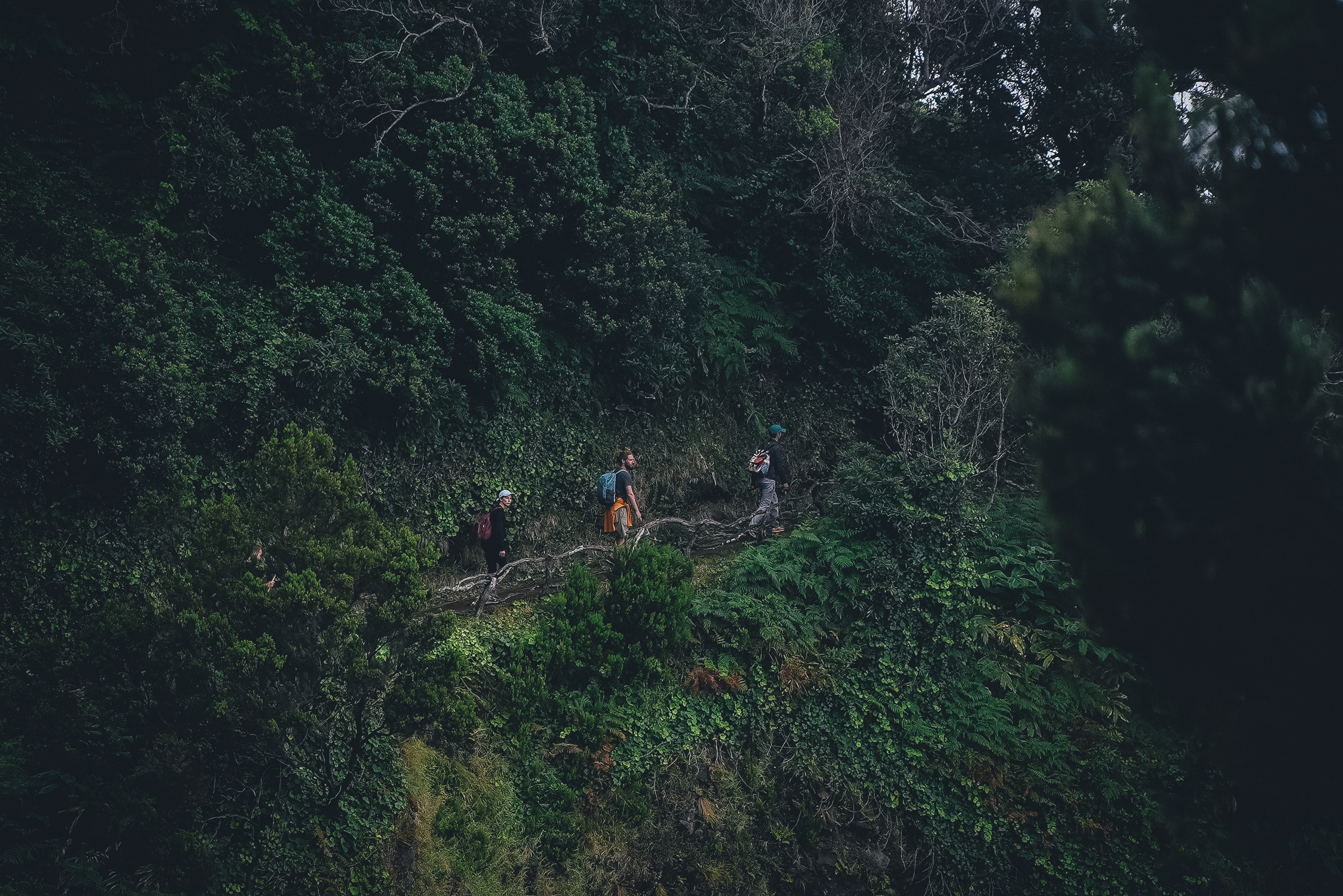 Затерянный мир: Азорские острова (50/55)