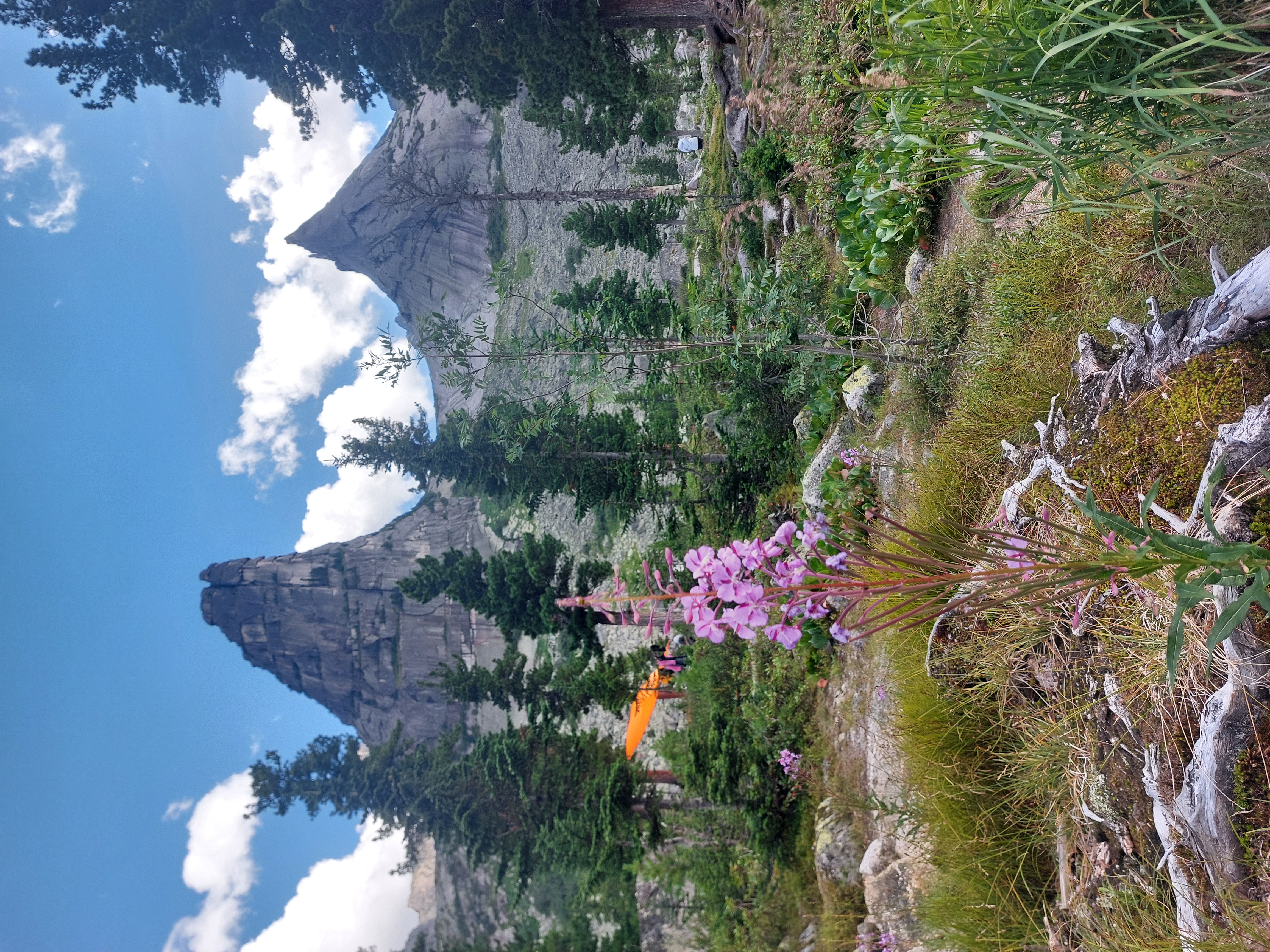 Трекинг в Ергаки (19/26)