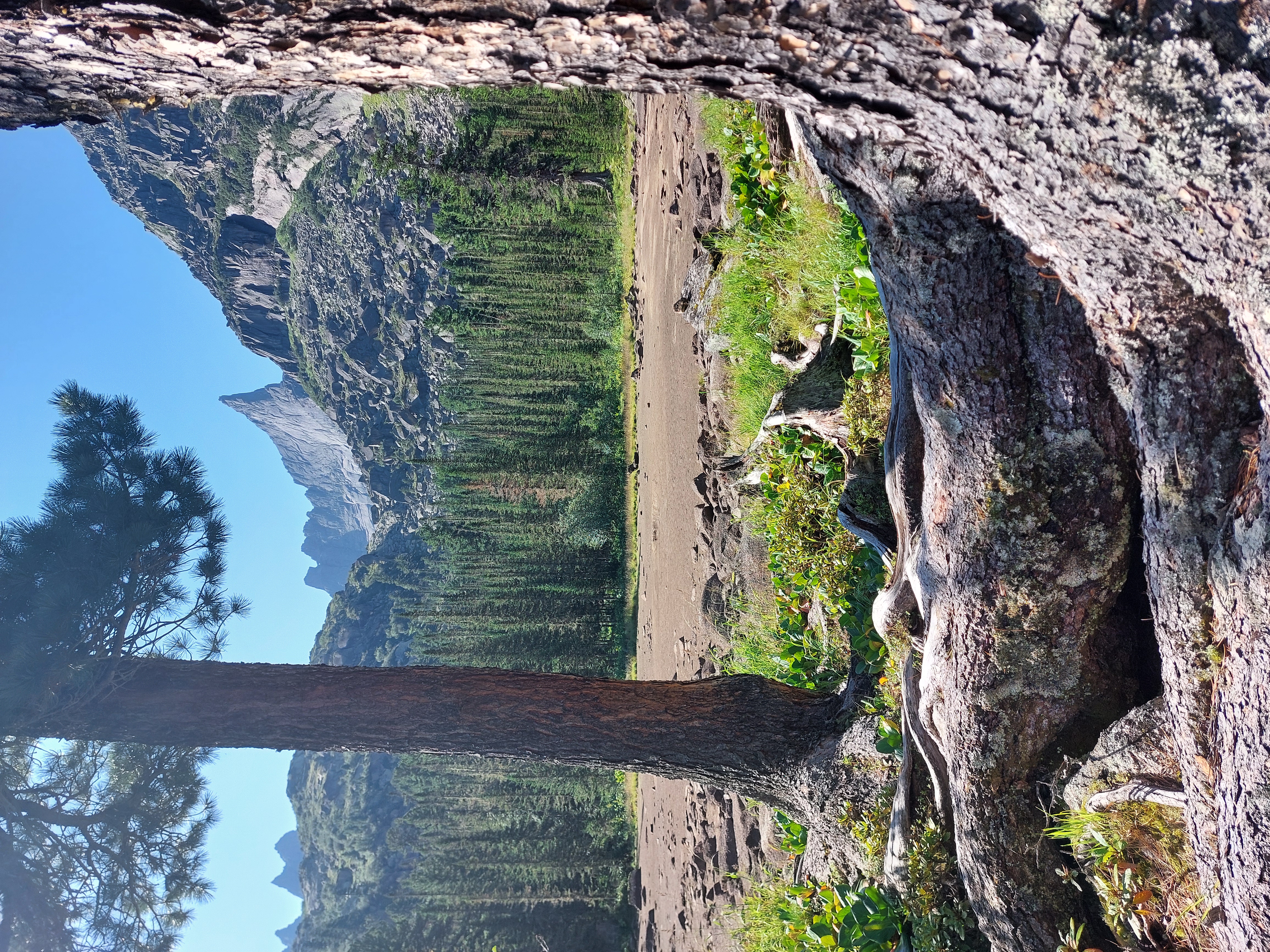 Трекинг в Ергаки (15/26)