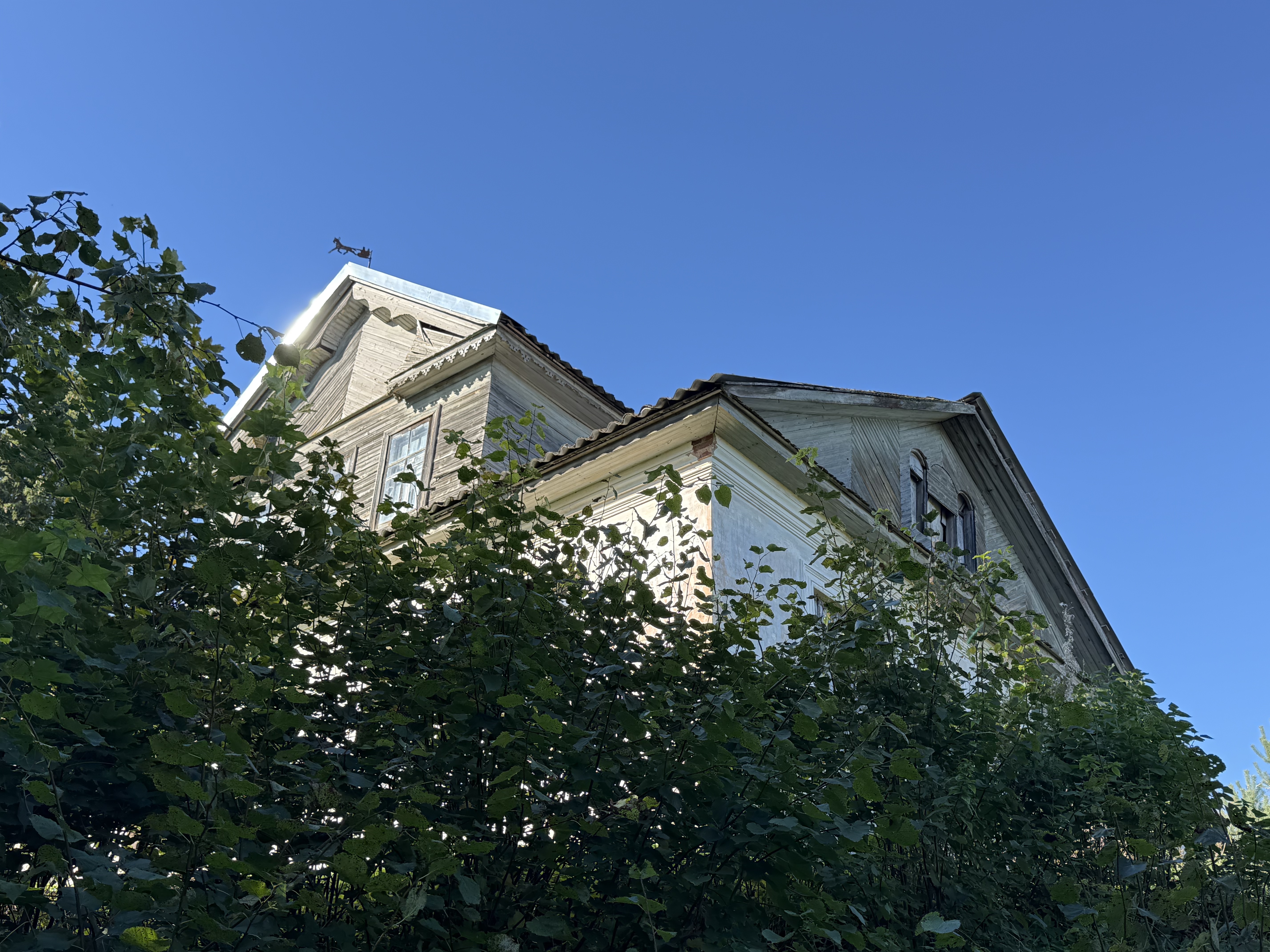 Поедь в Псоедь. Путешествие в деревню, где история оживает