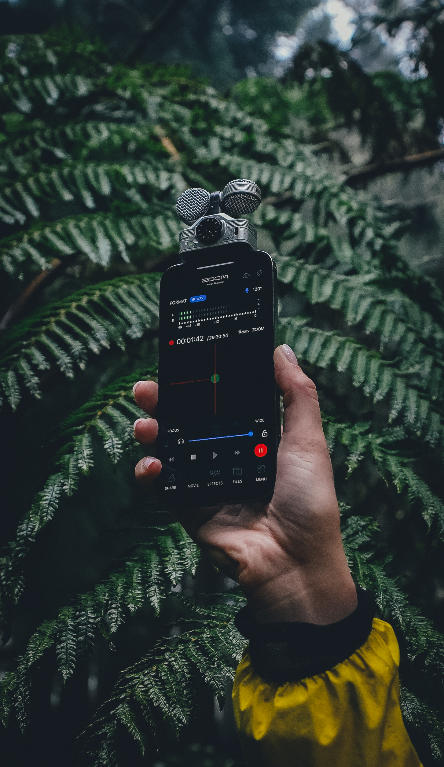 Затерянный мир: Азорские острова (33/55)