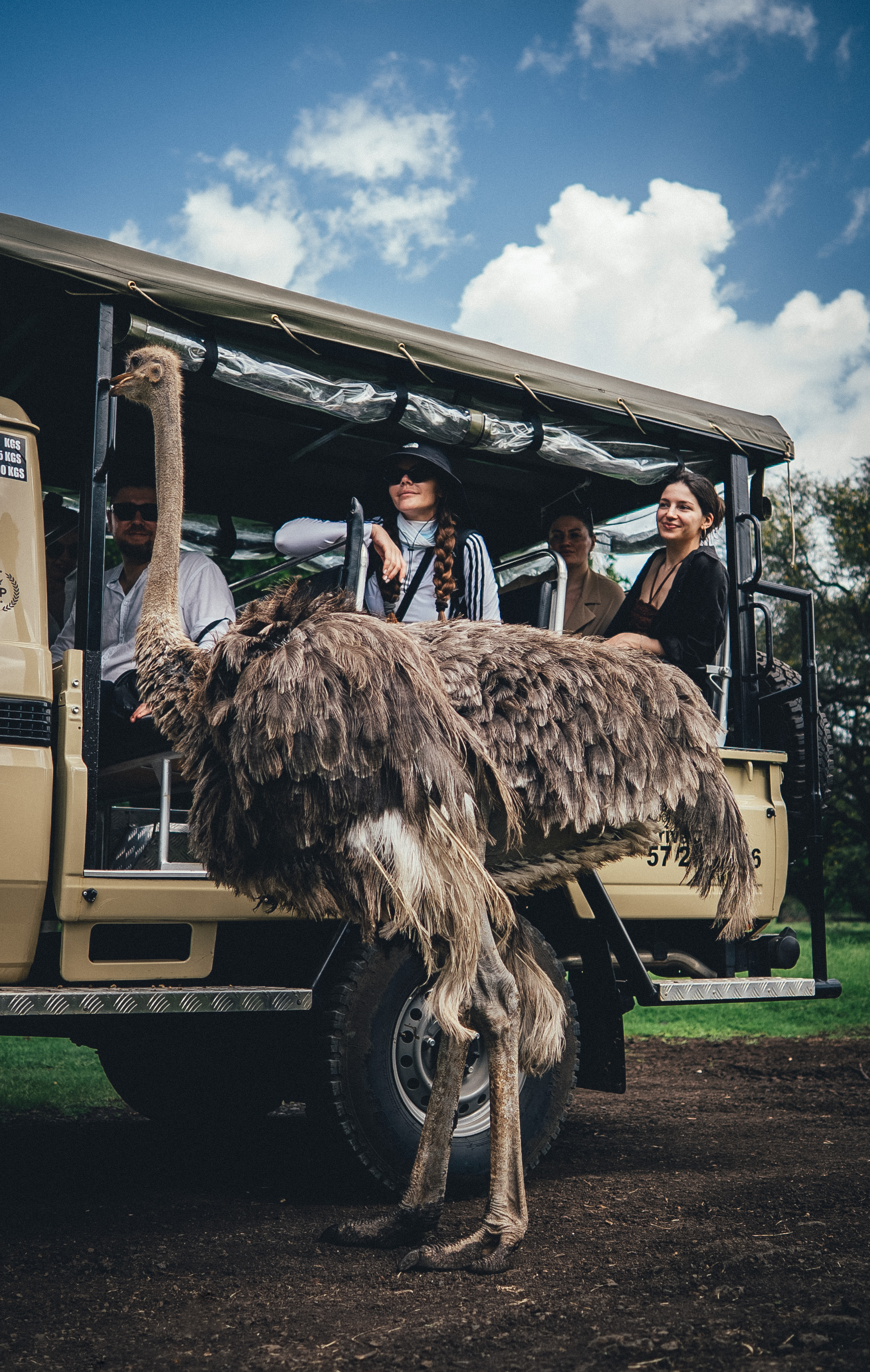 Райский остров: Маврикий (11/27)