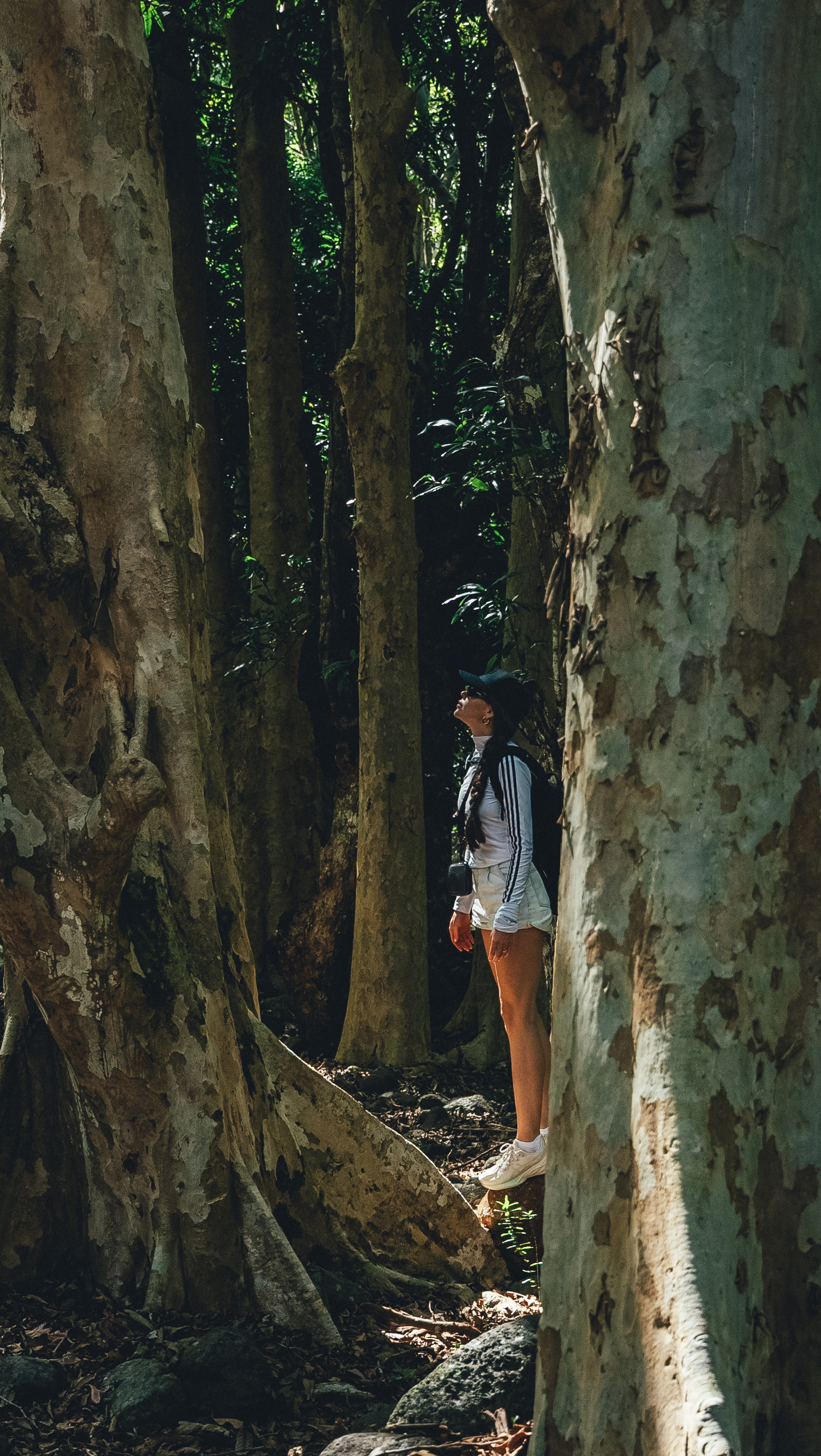 Райский остров: Маврикий (13/27)