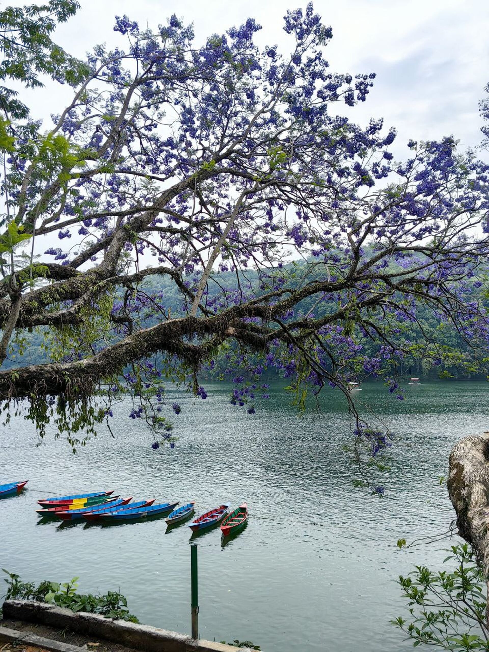 Почувствуй крышу мира: йога-путешествие в сердце Гималаев (3/19)
