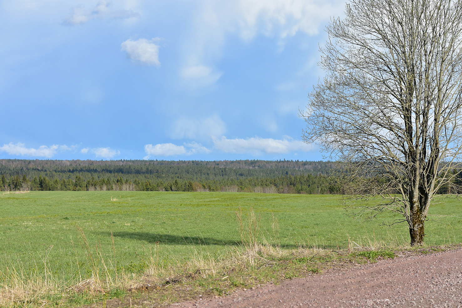 Южная Карелия. Маршрутами весны (5/7)